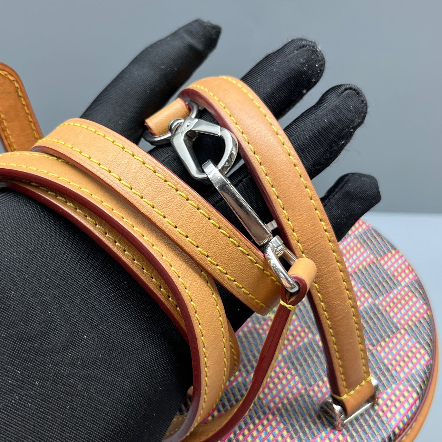 Louis Vuitton - Cannes - Leather - Multicolour - (mini)