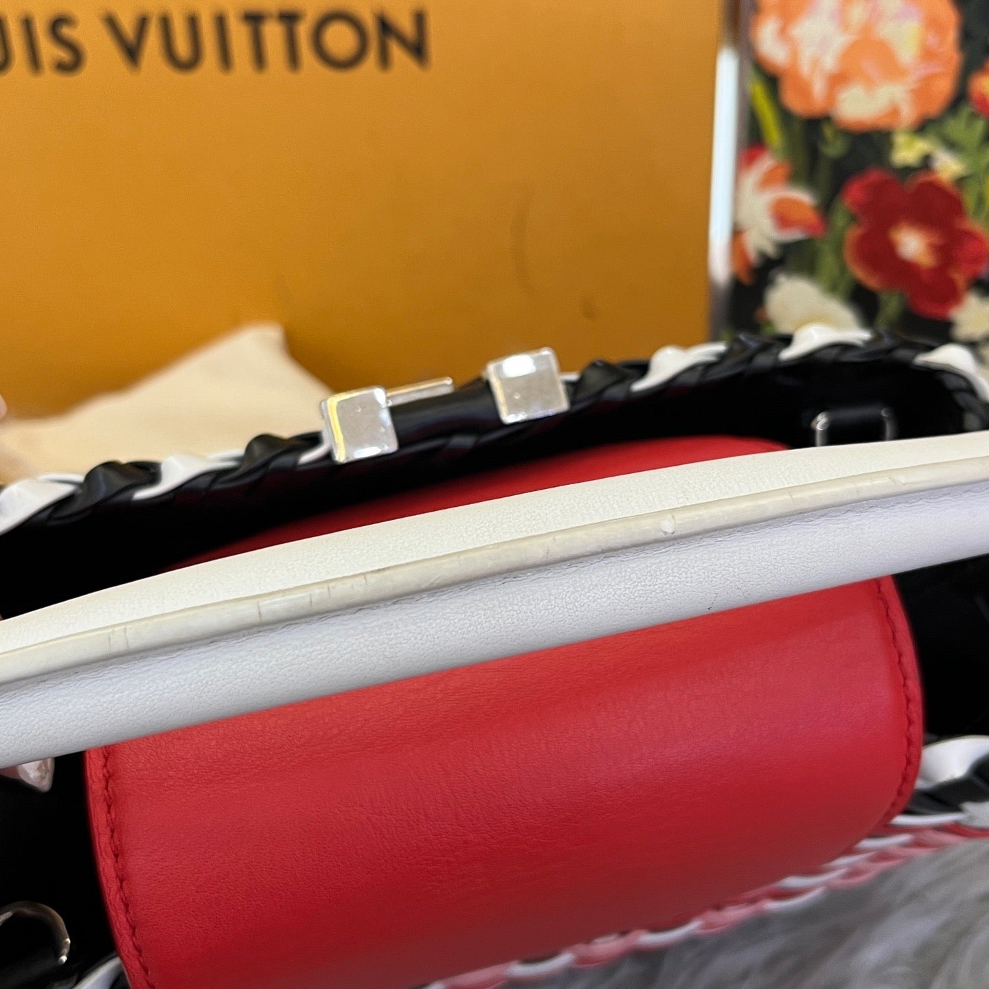 Louis Vuitton - Capucines - Leather - Multicolour - (medium)