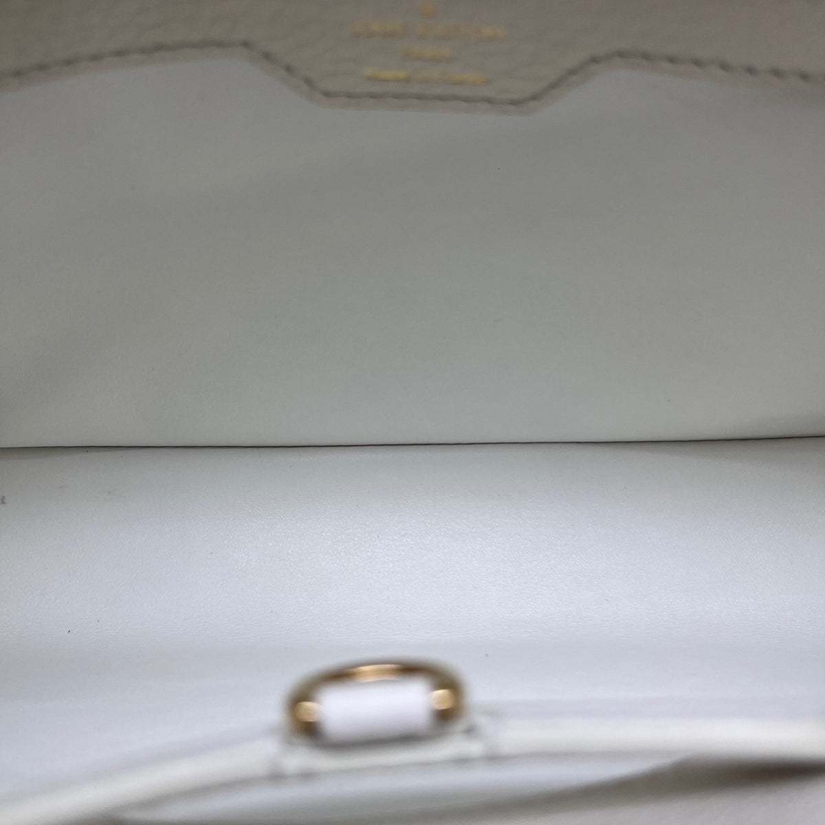 Louis Vuitton - Capucines - Leather - Multicolour - (medium)