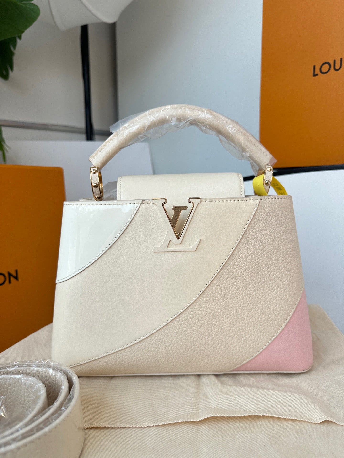 Louis Vuitton - Capucines - Leather - Multicolour - (Other)