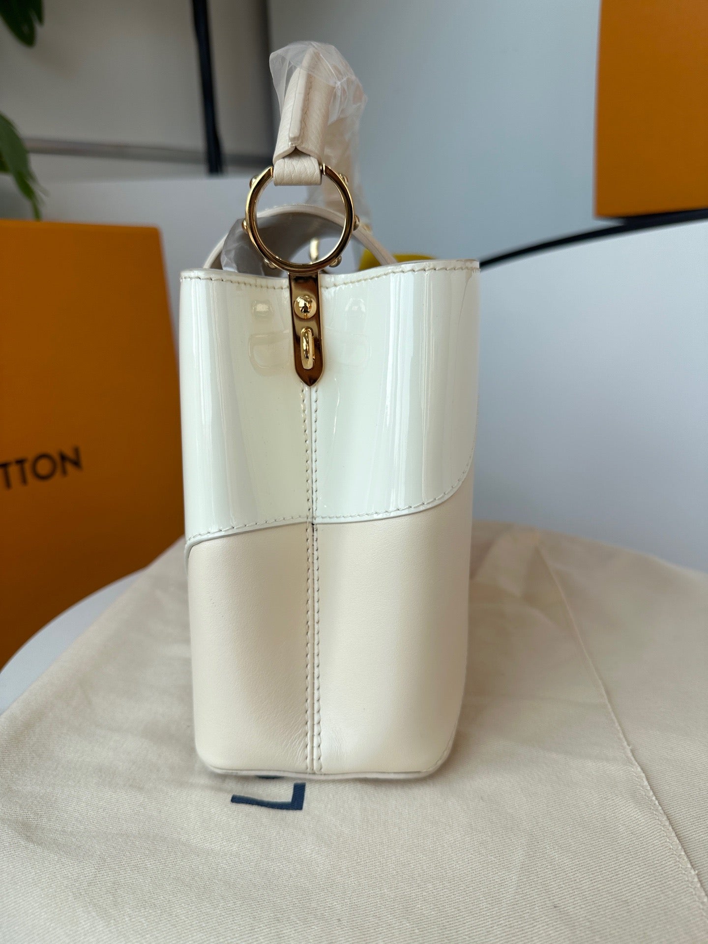 Louis Vuitton - Capucines - Leather - Multicolour - (Other)