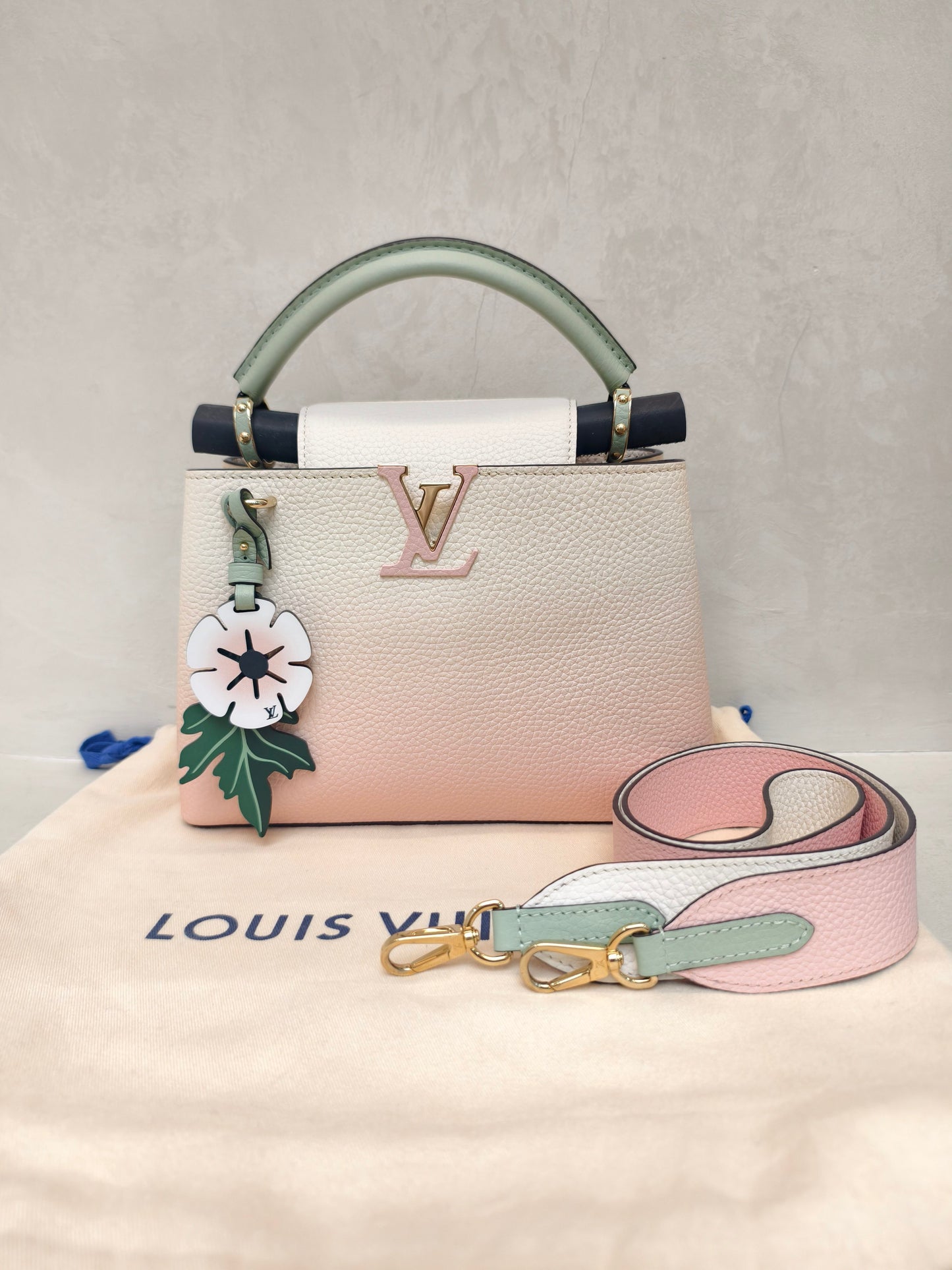 Louis Vuitton - Capucines - Leather - Multicolour - (Small)