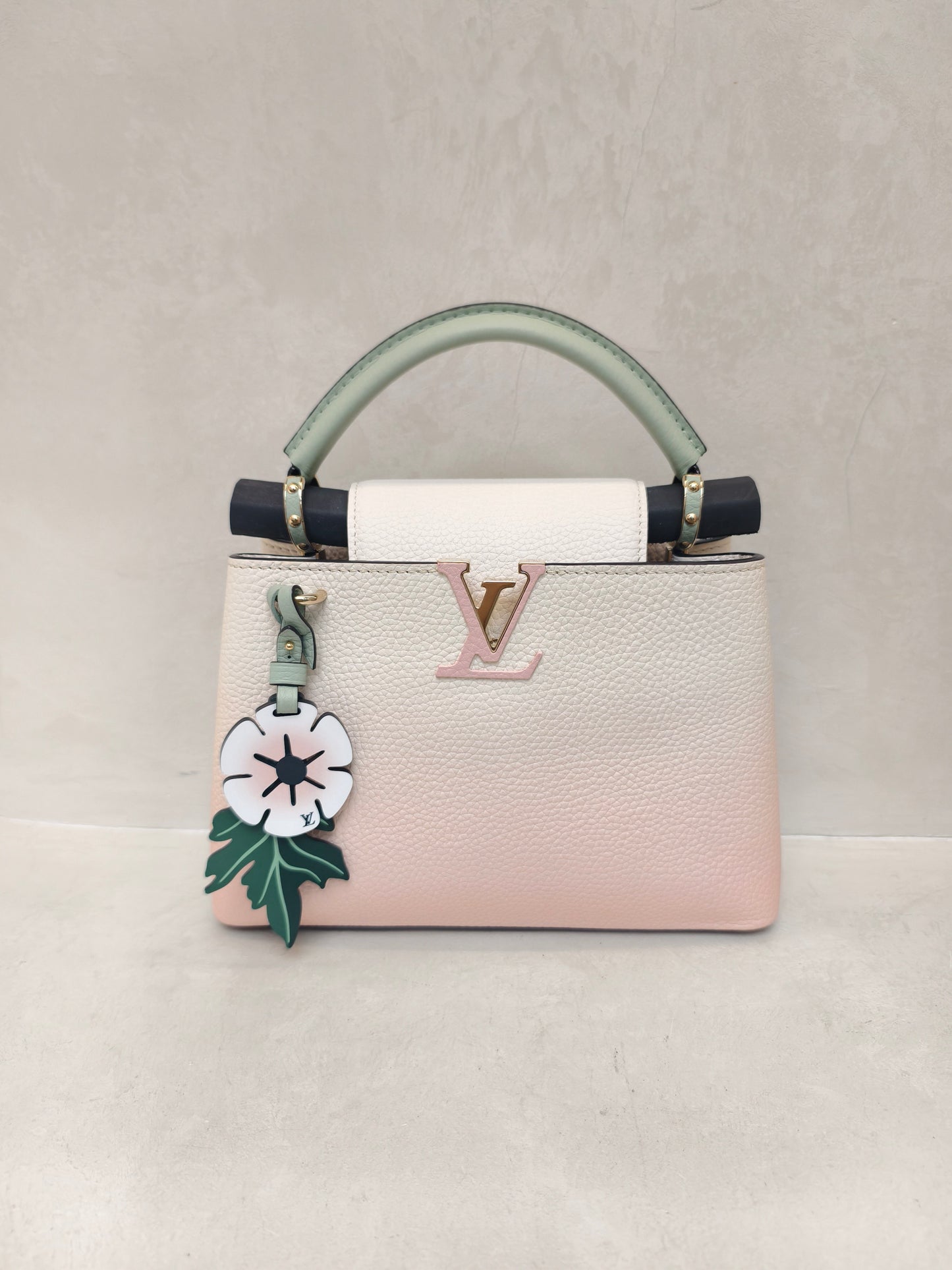 Louis Vuitton - Capucines - Leather - Multicolour - (Small)