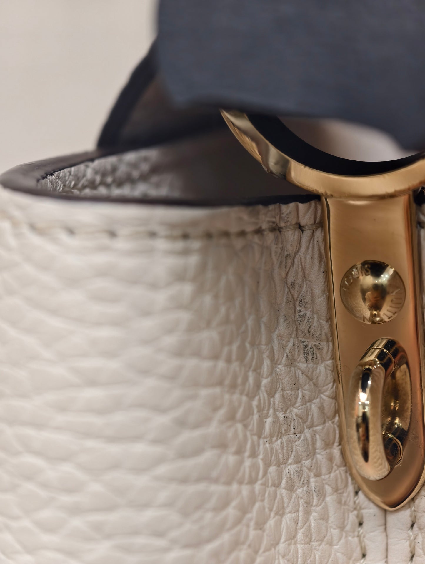 Louis Vuitton - Capucines - Leather - Multicolour - (Small)