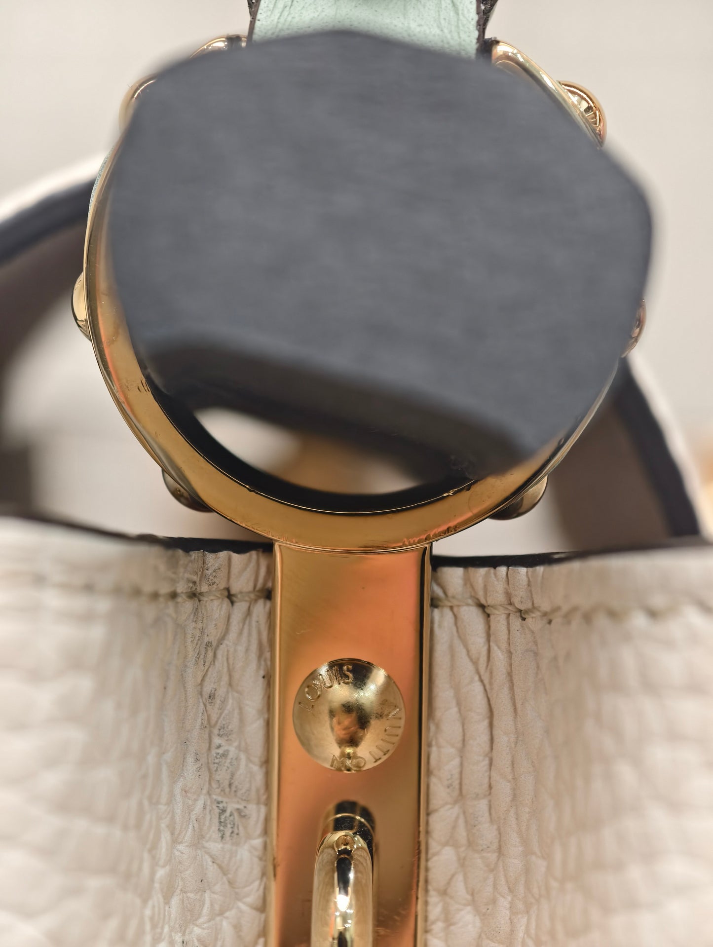 Louis Vuitton - Capucines - Leather - Multicolour - (Small)