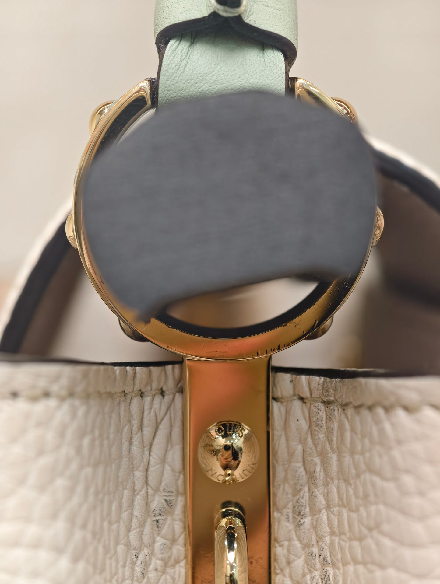 Louis Vuitton - Capucines - Leather - Multicolour - (Small)