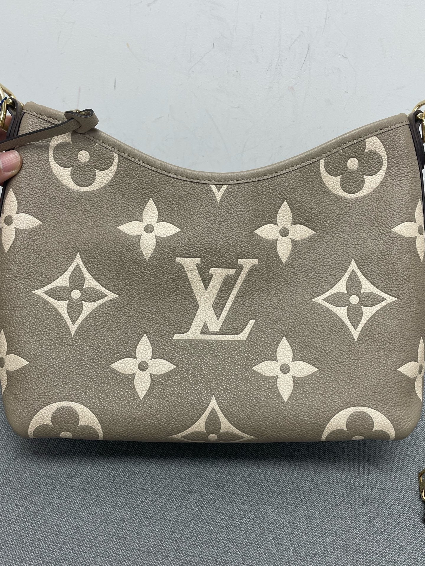 Louis Vuitton - Carryall - Leather - Grey - (small)