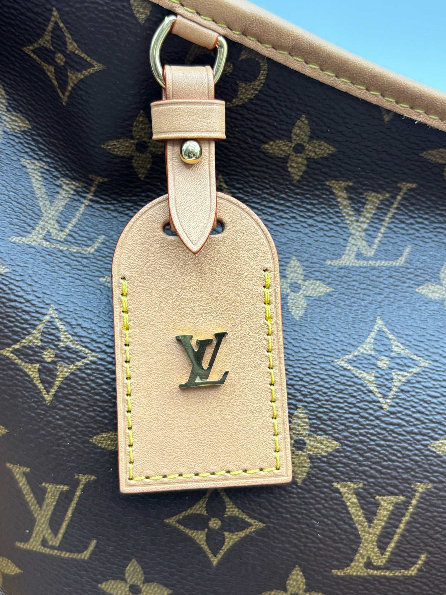 Louis Vuitton - Carryall MM - Synthetic - Brown - (medium)