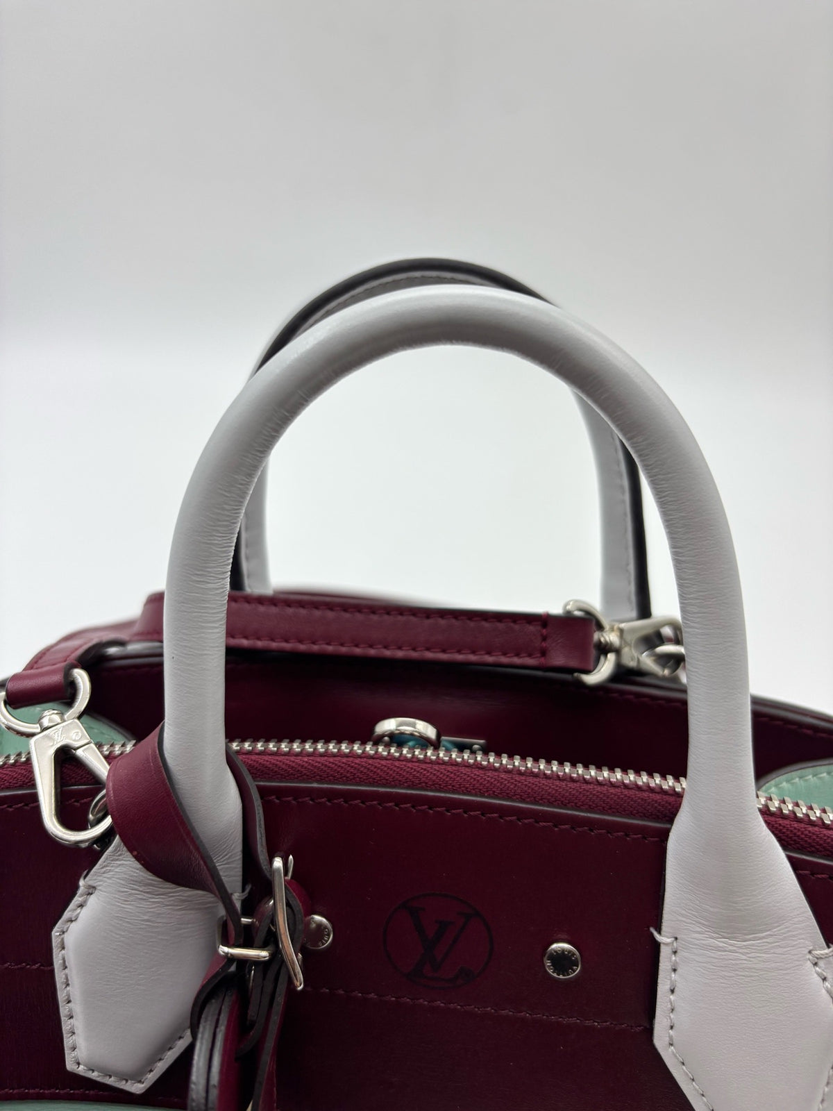 Louis Vuitton - City Steamer - Leather - Multicolour - (small)