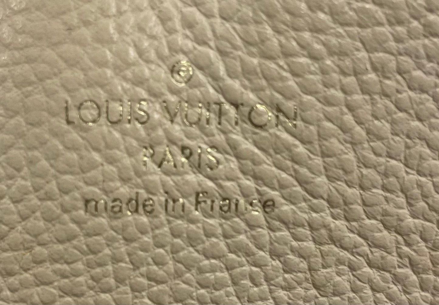 Louis Vuitton - Clapton - Leather - Multicolour - (mini)