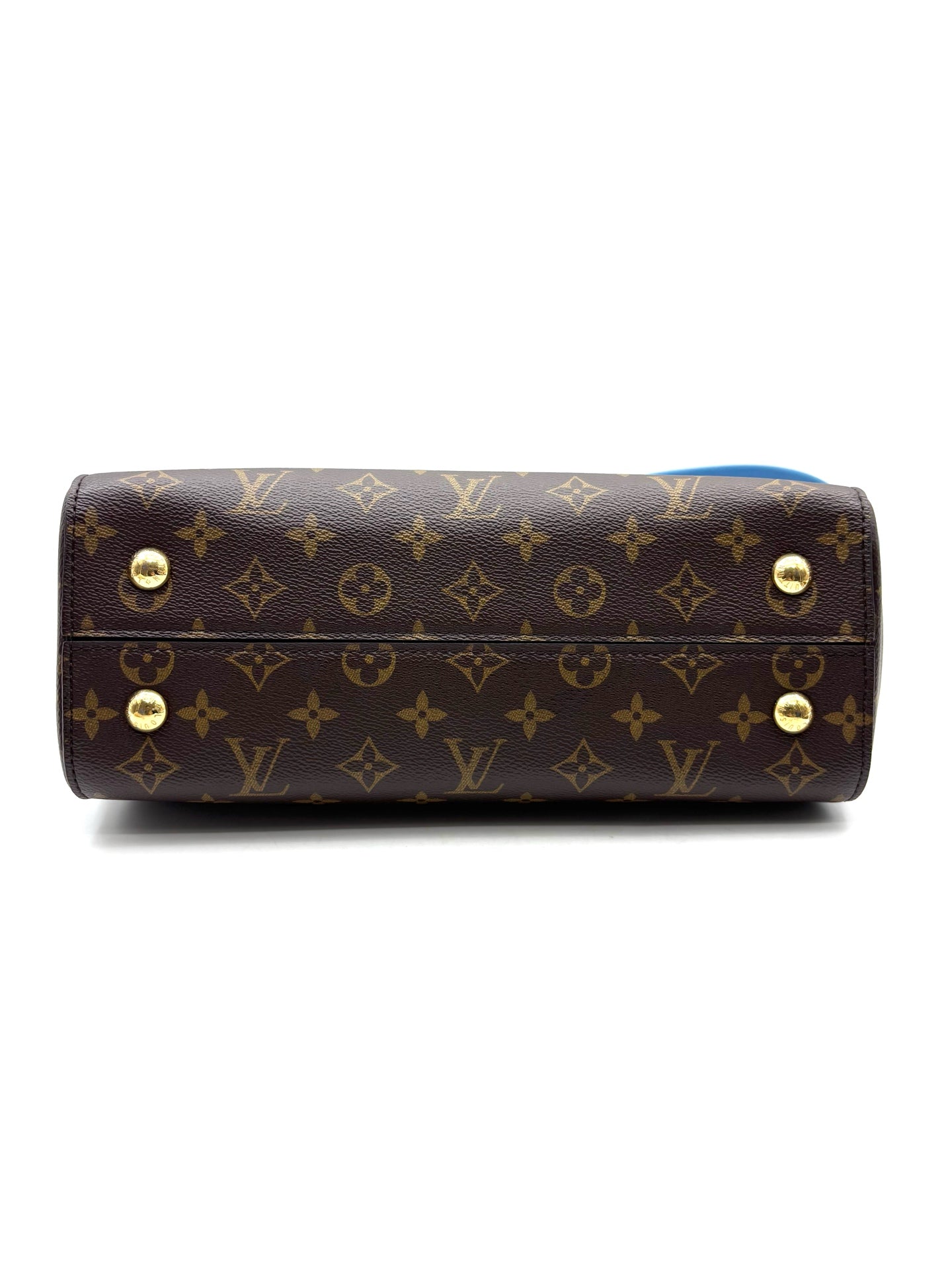 Louis Vuitton - Cluny - Cloth - Brown - (medium)