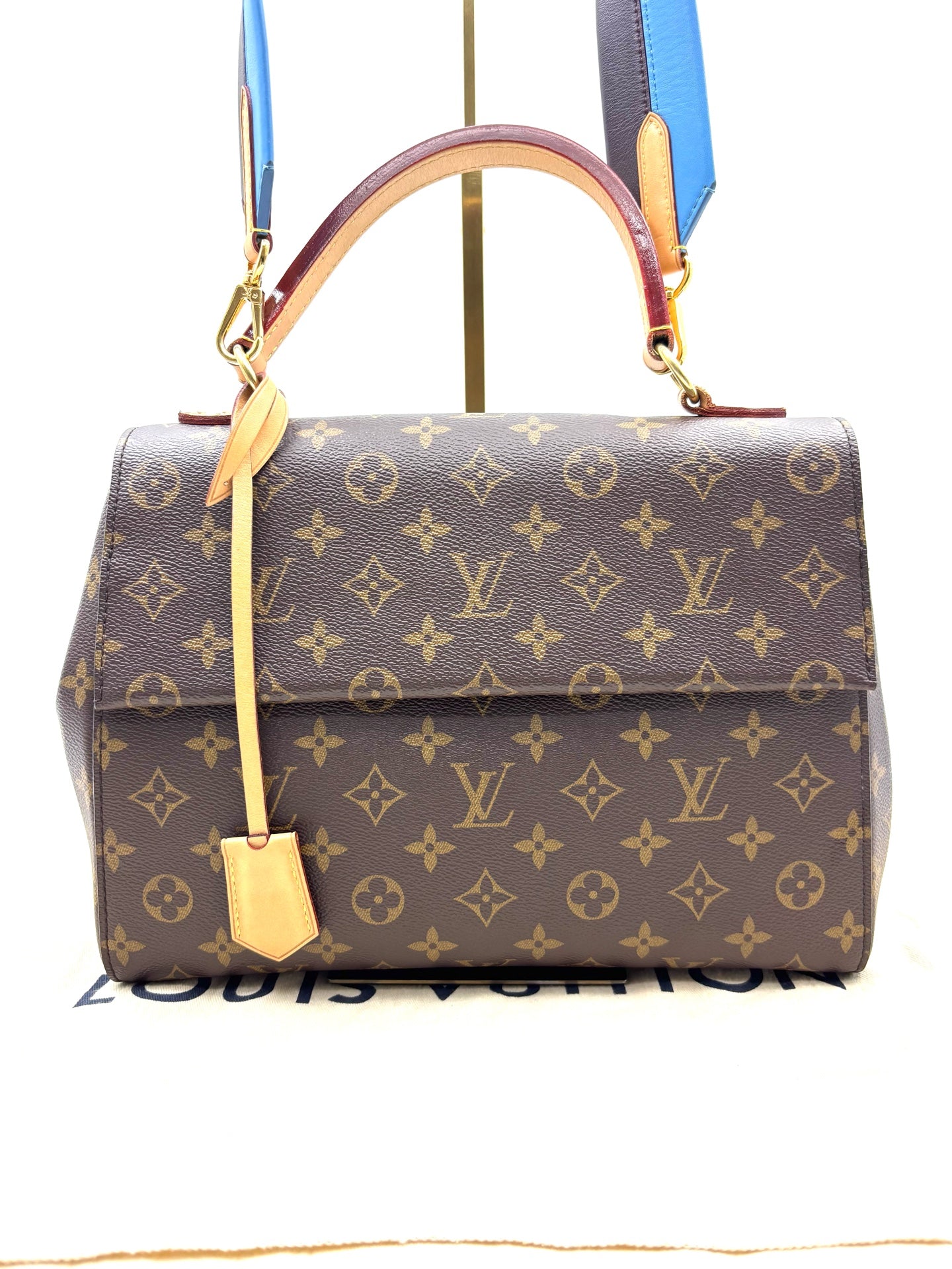 Louis Vuitton - Cluny MM - Leather - Brown - (medium)