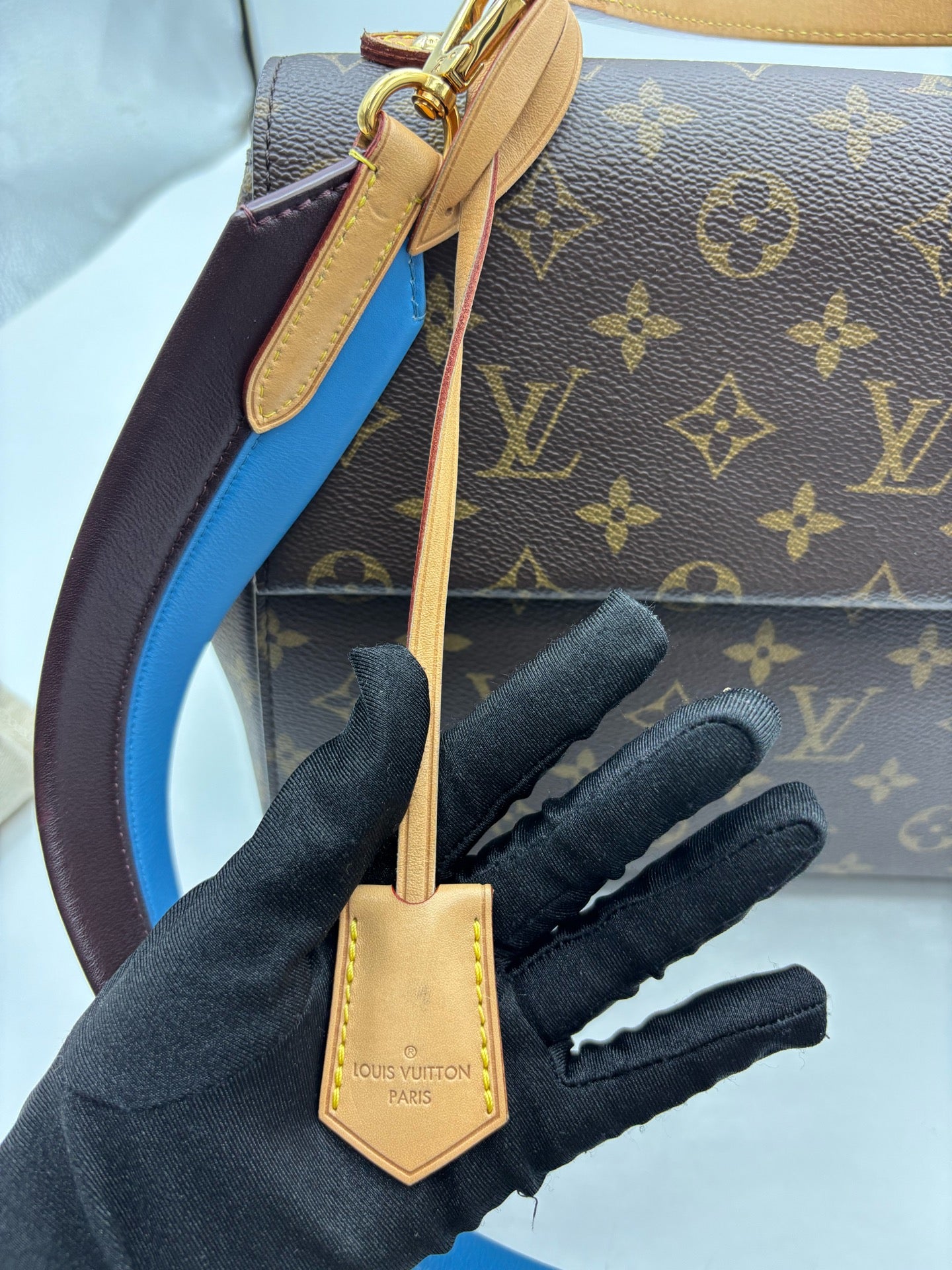 Louis Vuitton - Cluny MM - Leather - Brown - (medium)