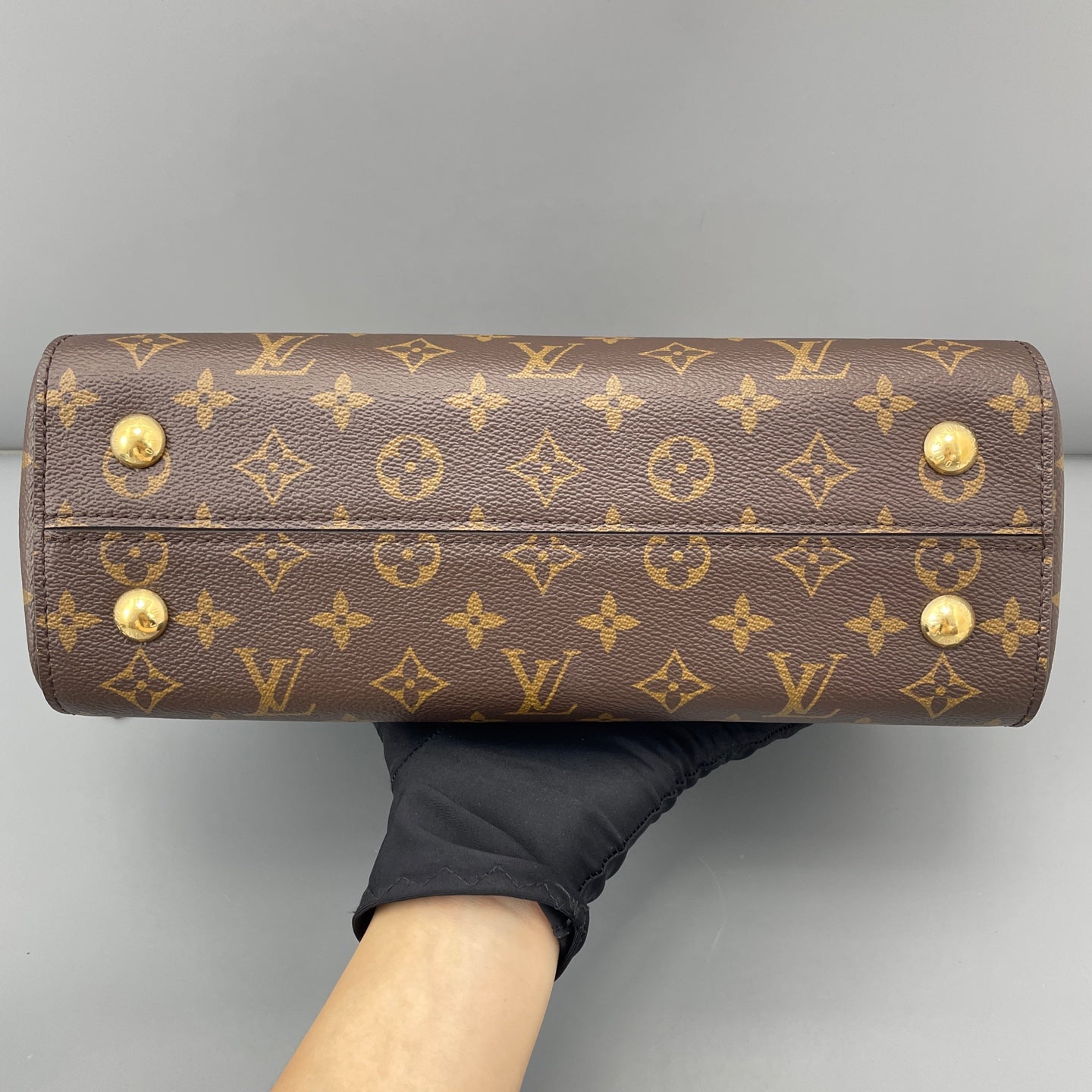 Louis Vuitton - Cluny MM - Synthetic - Brown - (medium)