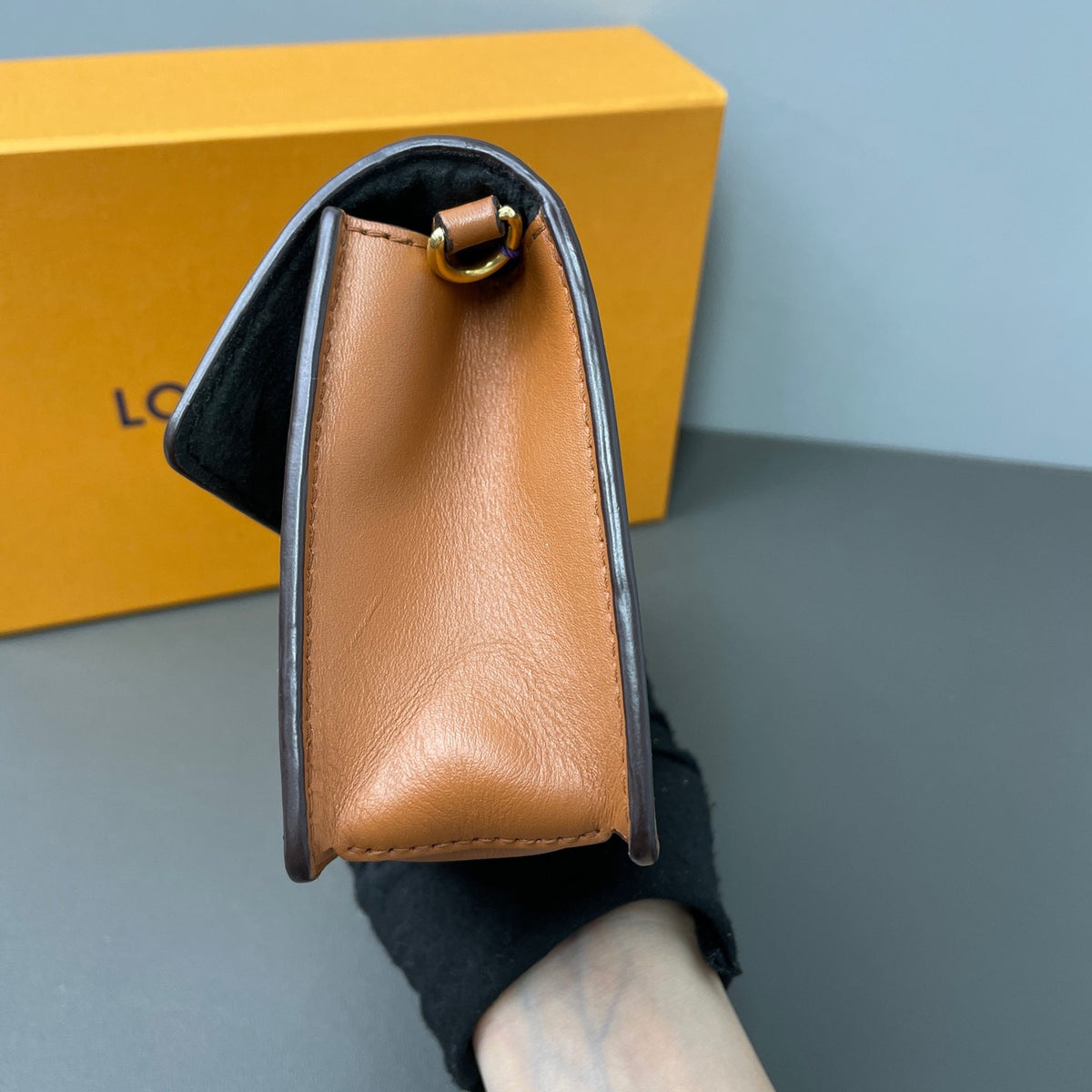 Louis Vuitton - Dauphine WOC - Cloth - Multicolour - (mini)