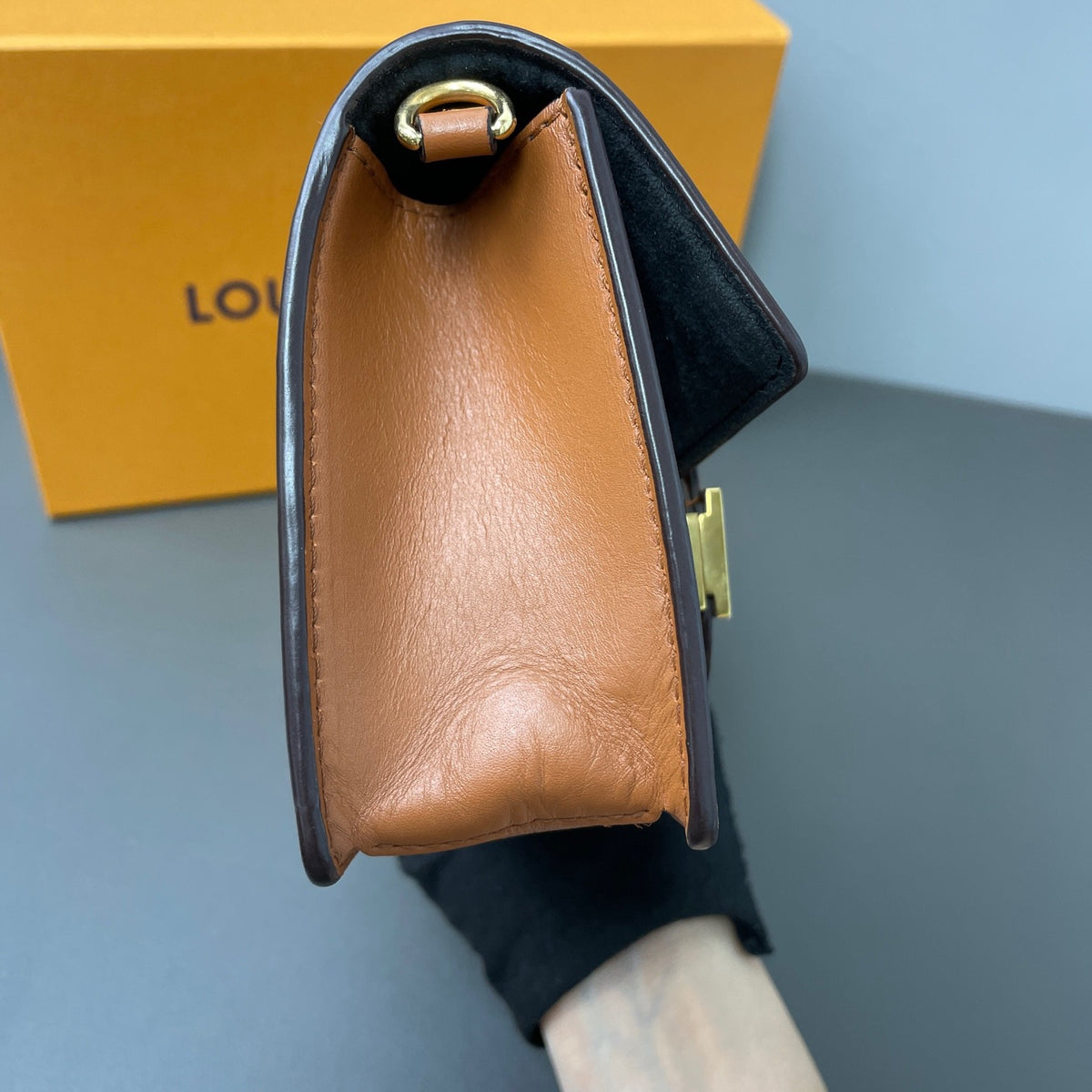 Louis Vuitton - Dauphine WOC - Cloth - Multicolour - (mini)