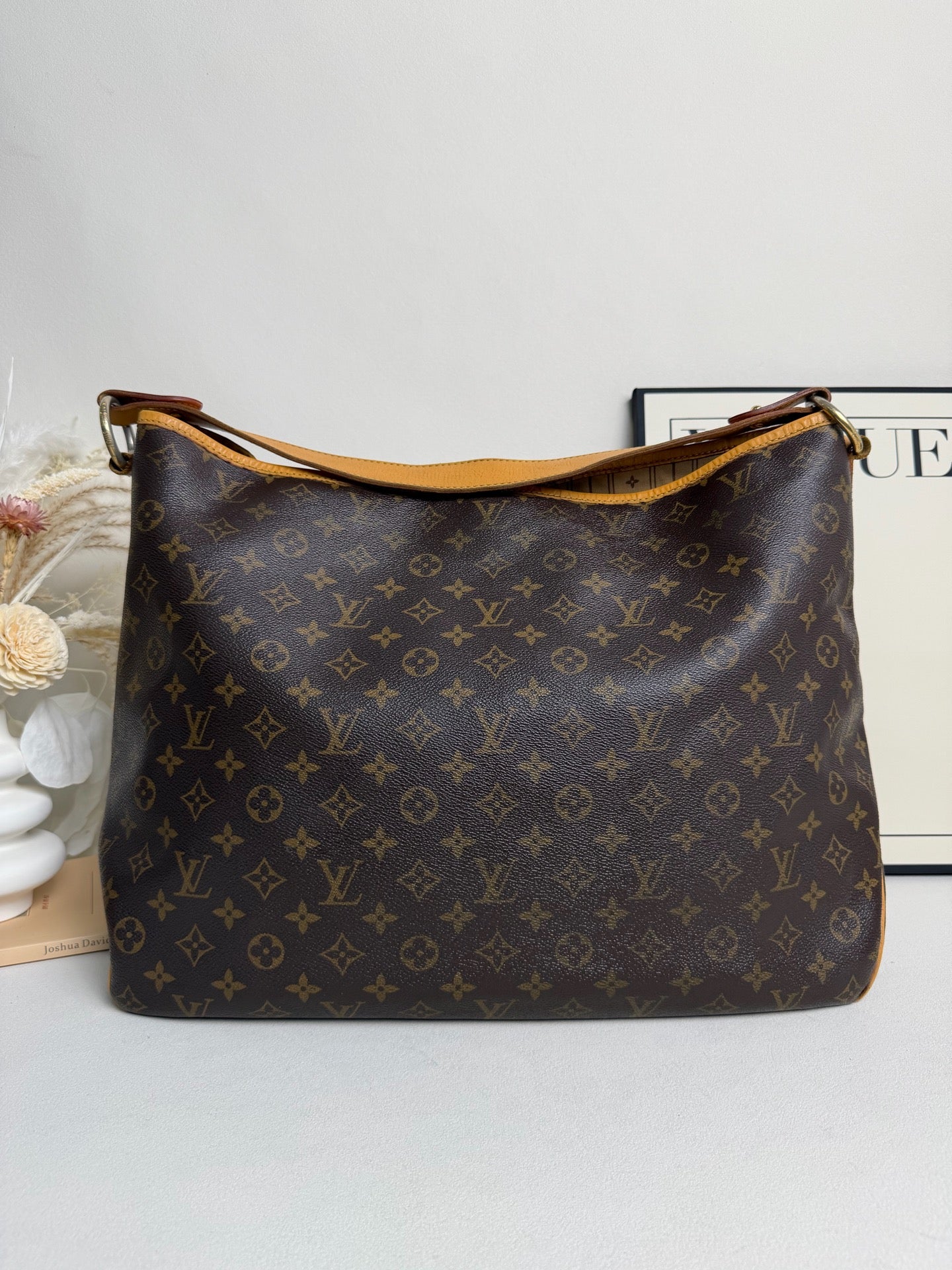 Louis Vuitton - Delightful GM - Canvas - Brown - (large)