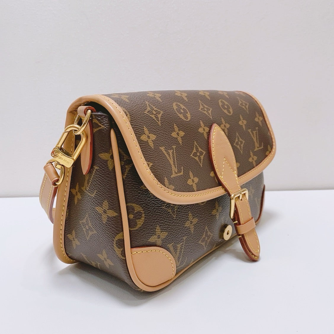 Louis Vuitton - Diane - Leather - Brown - (mini)