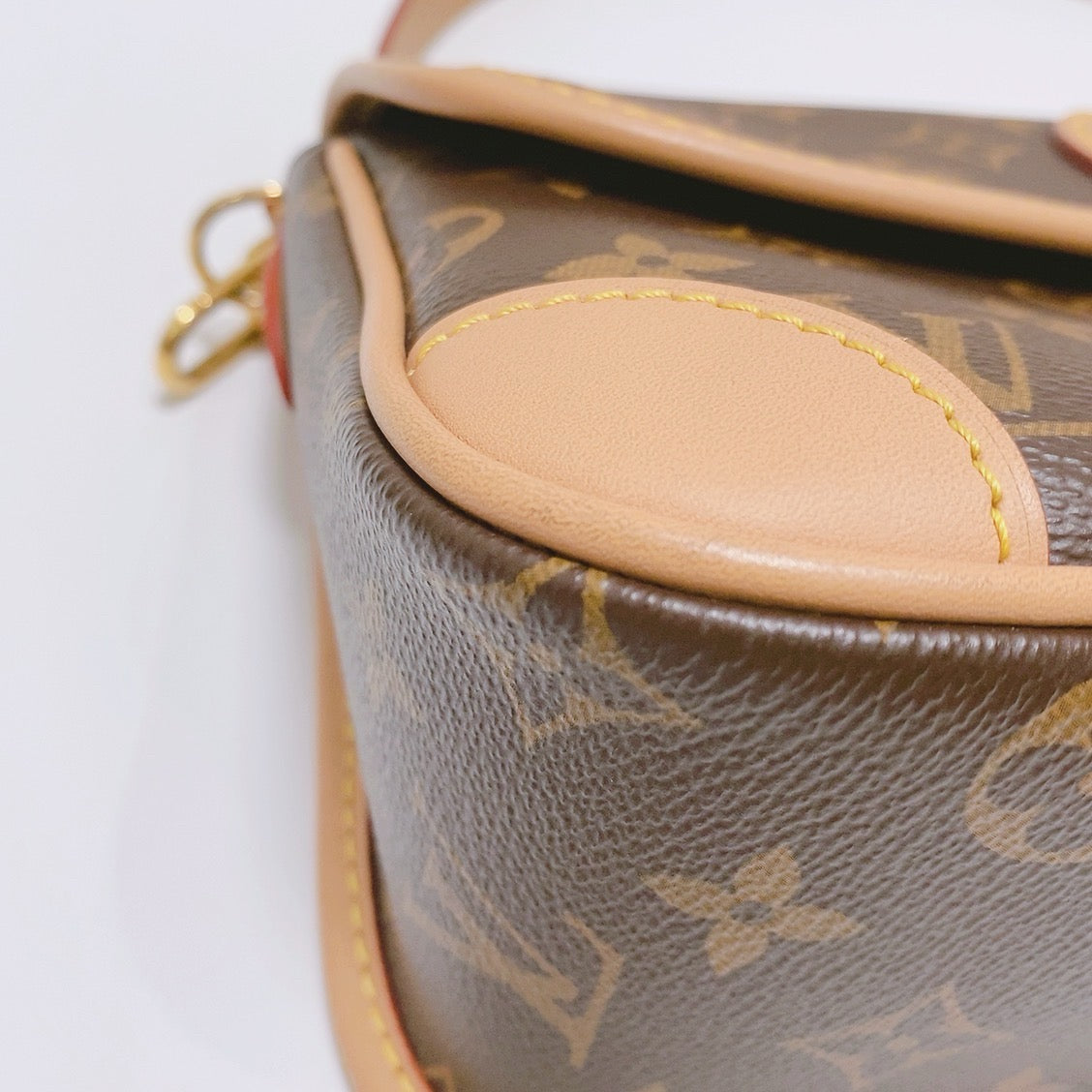 Louis Vuitton - Diane - Leather - Brown - (mini)