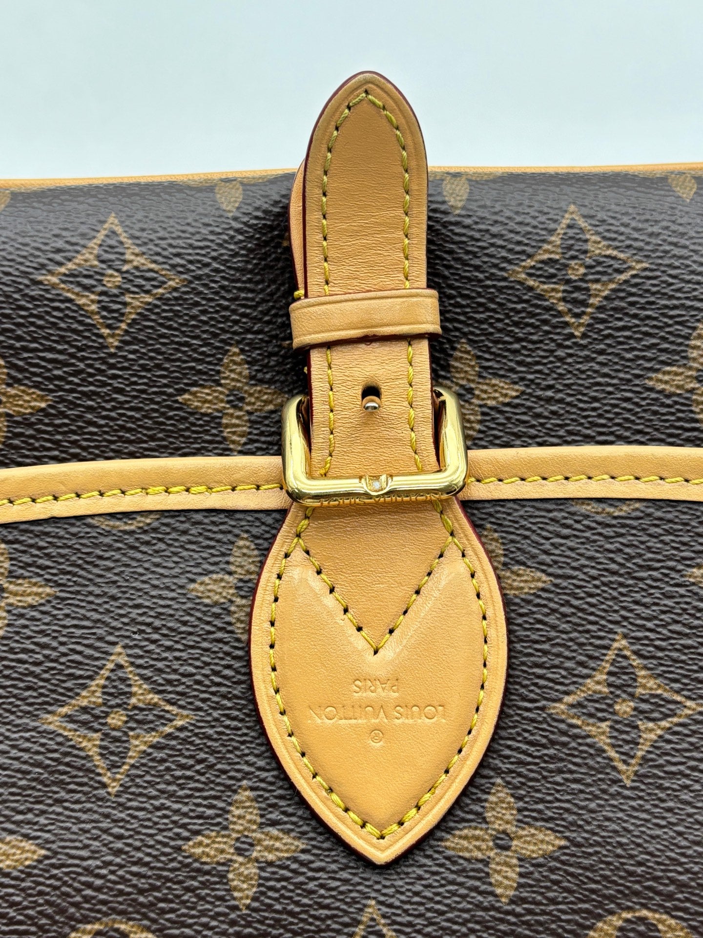 Louis Vuitton - Diane PM - Leather - Brown - (small)