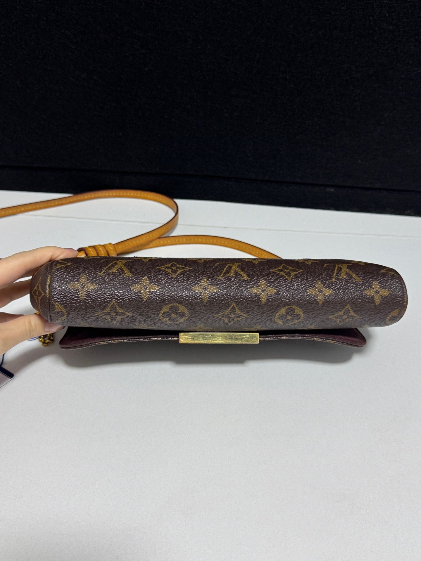 Louis Vuitton - Favorite - Cloth - Brown - (small)
