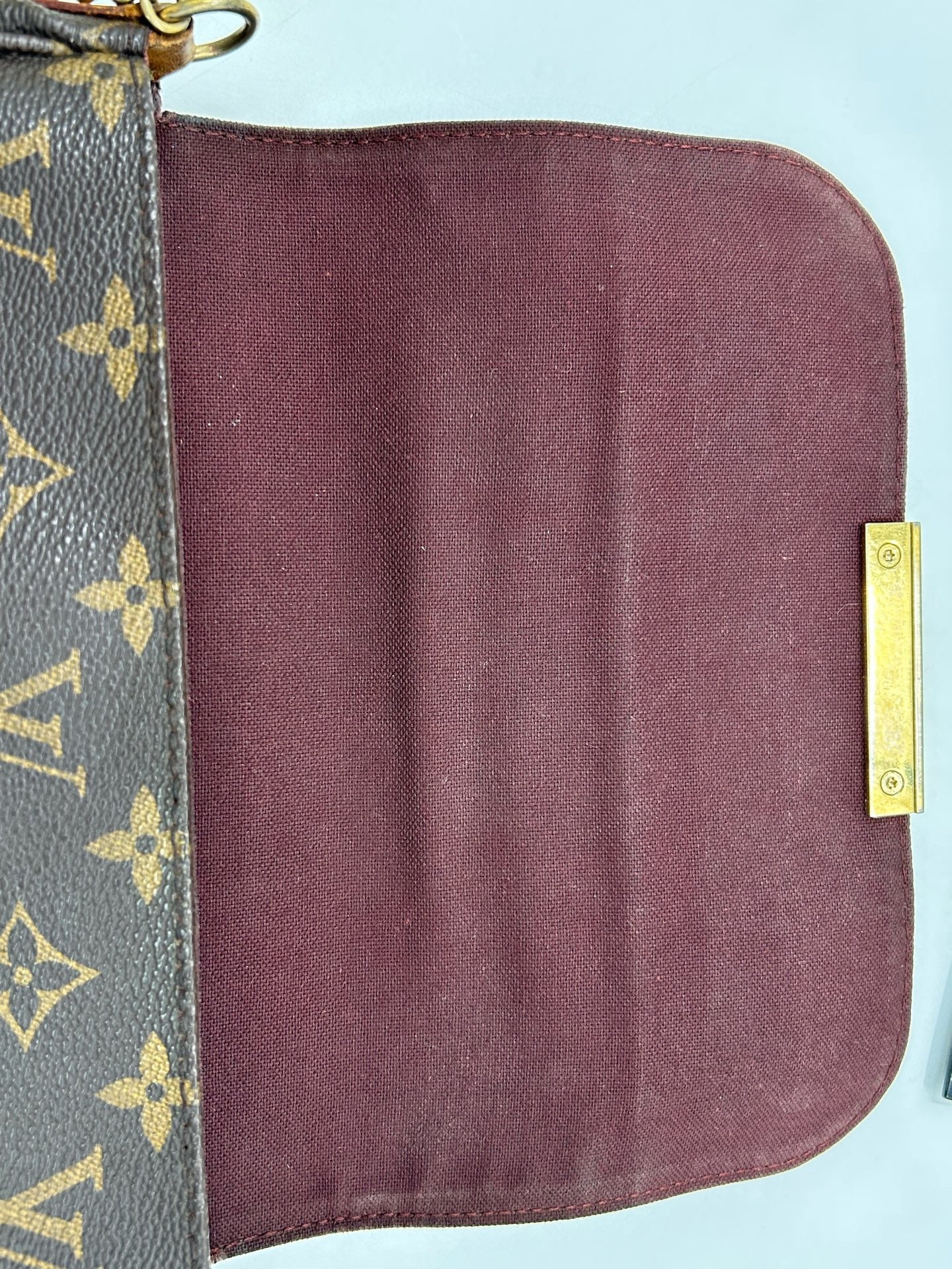 Louis Vuitton - Favorite - Cloth - Brown - (small)