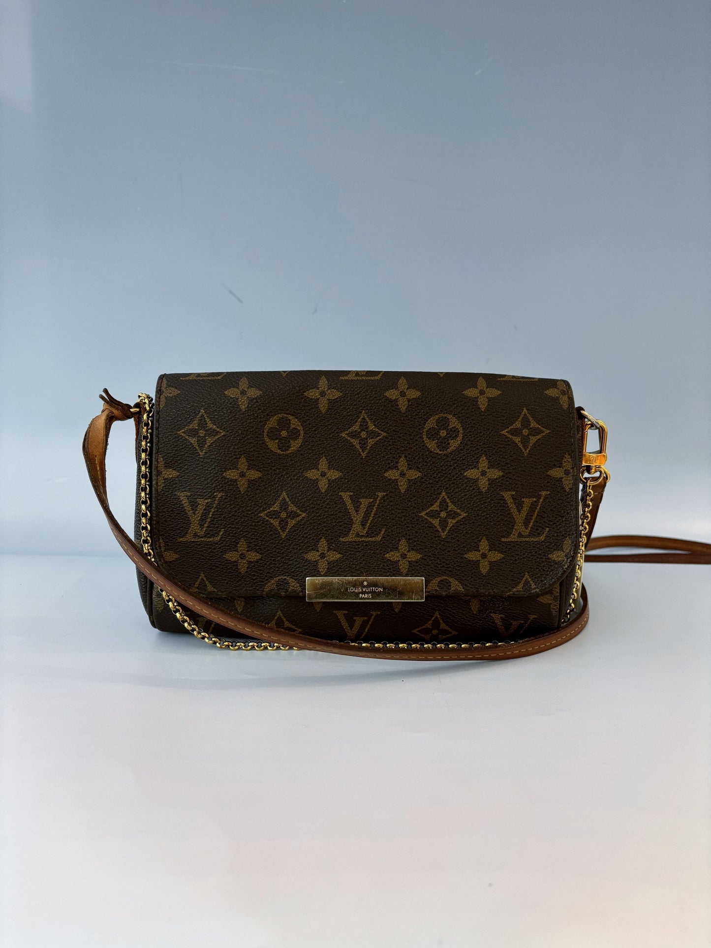Louis Vuitton - Favorite - Leather - Brown - (small)