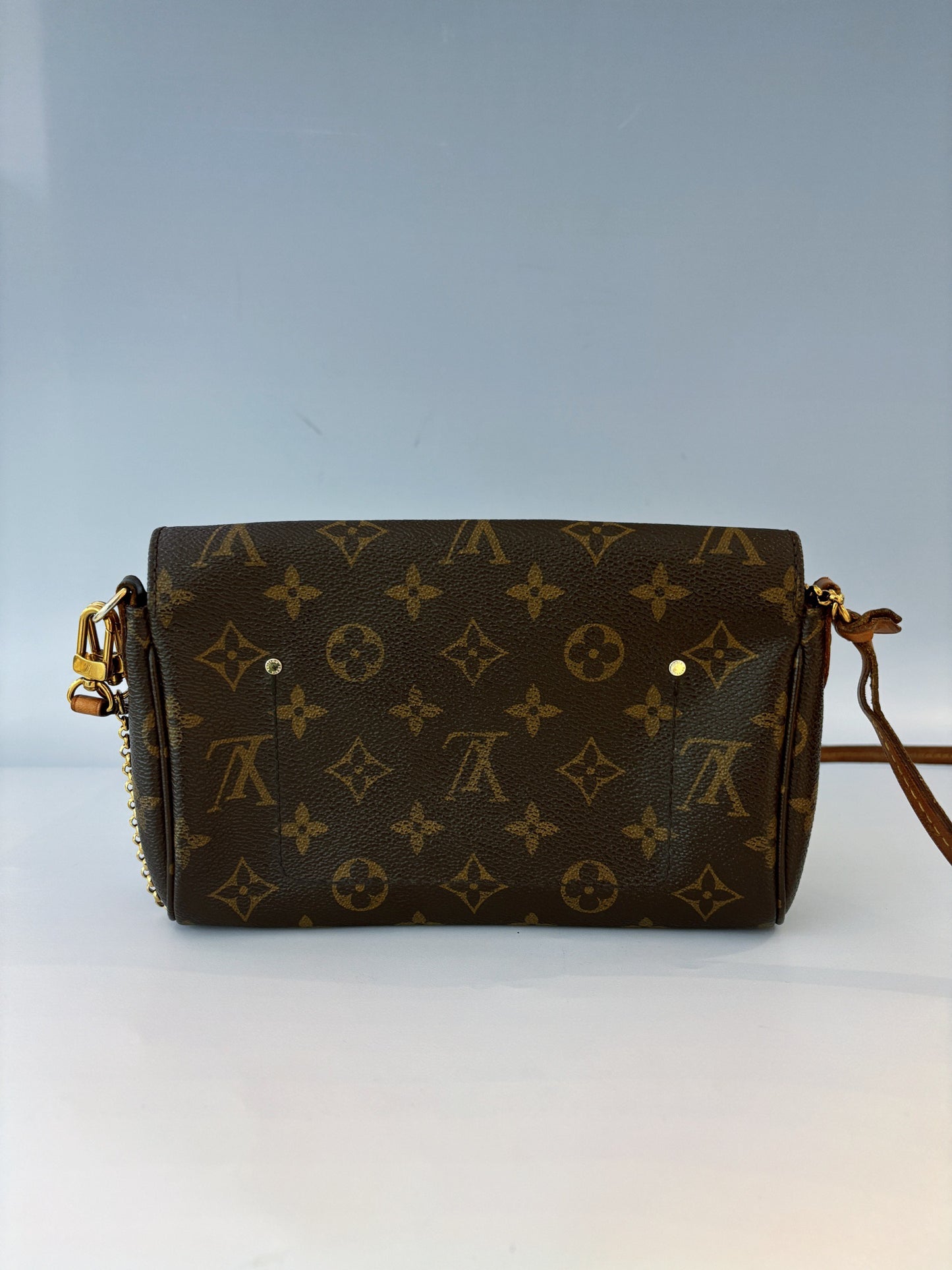 Louis Vuitton - Favorite - Leather - Brown - (small)