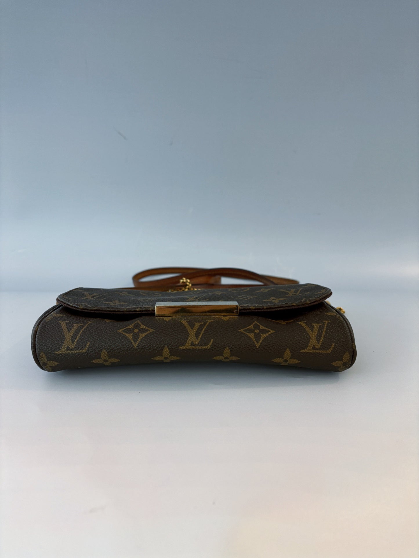 Louis Vuitton - Favorite - Leather - Brown - (small)
