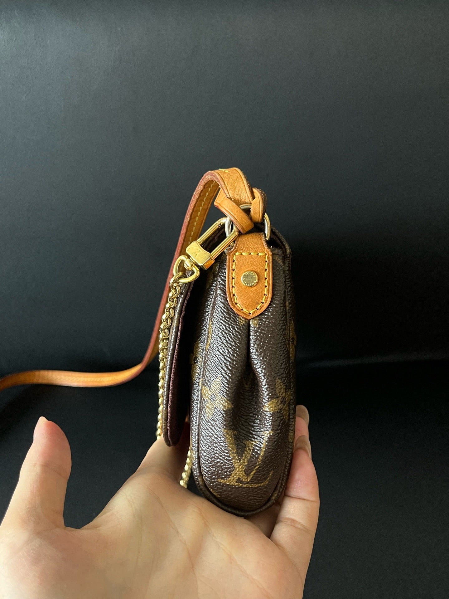Louis Vuitton - Favorite PM - Cloth - Brown - (small)