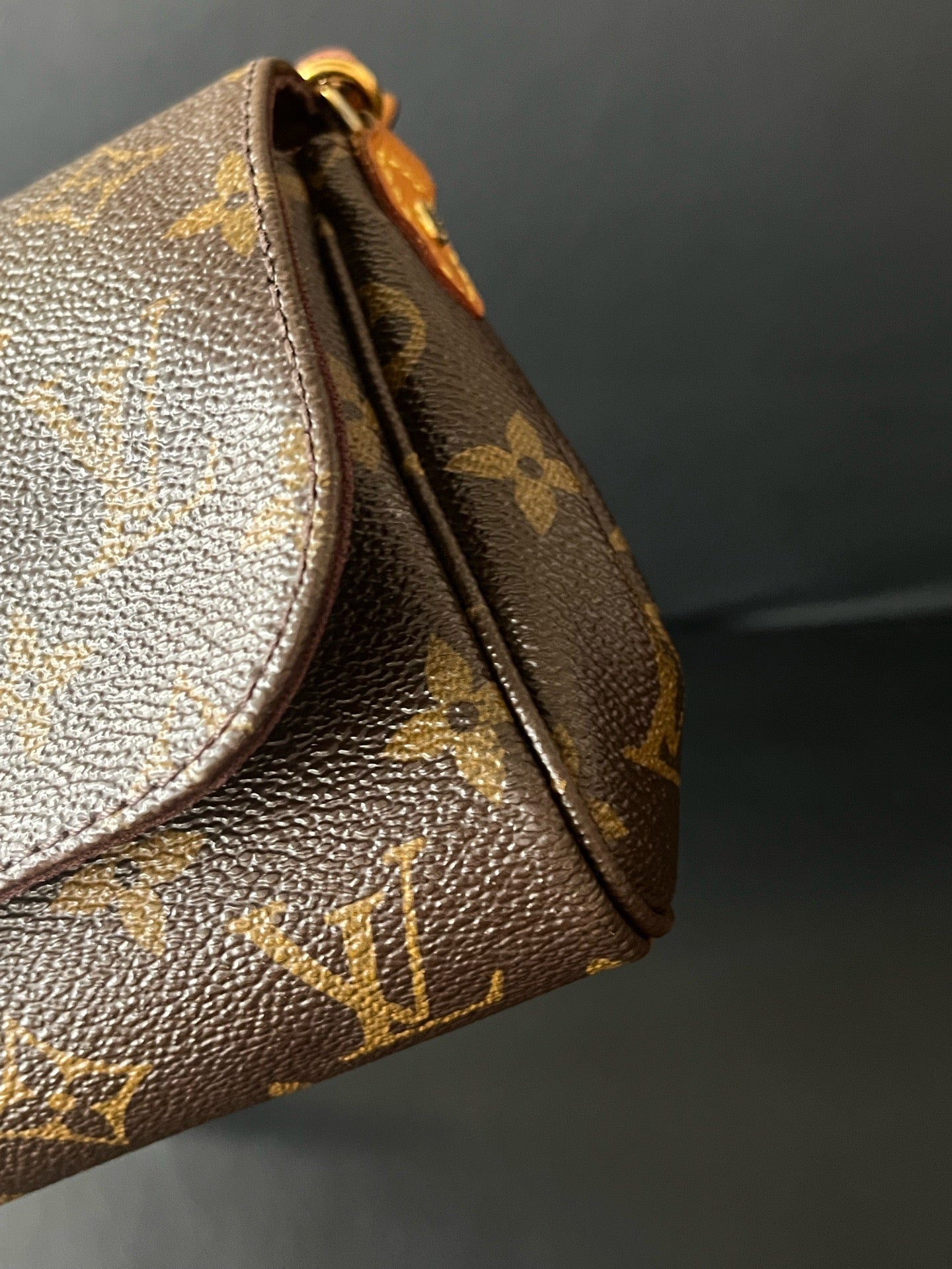 Louis Vuitton - Favorite PM - Cloth - Brown - (small)