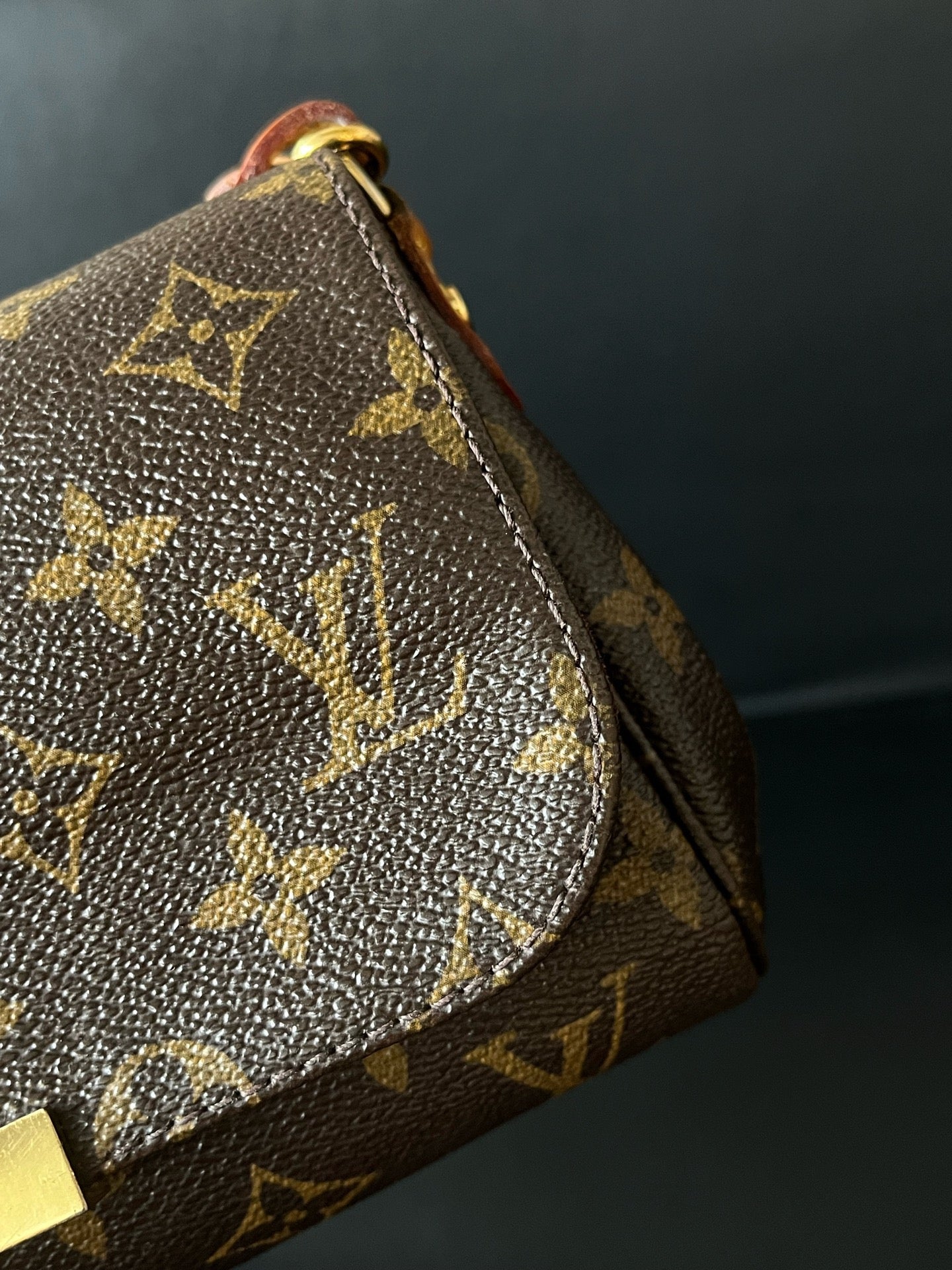 Louis Vuitton - Favorite PM - Cloth - Brown - (small)