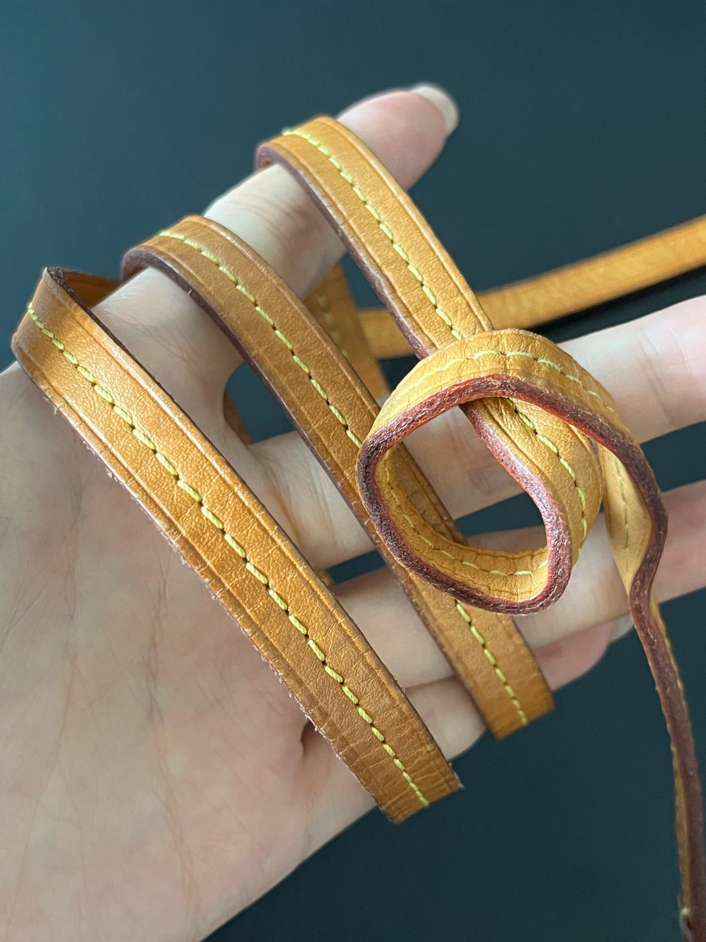 Louis Vuitton - Favorite PM - Cloth - Brown - (small)