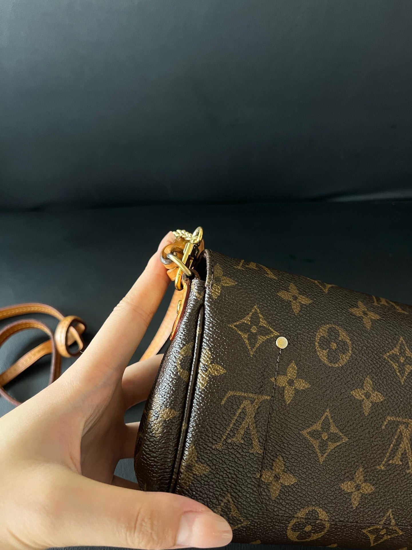 Louis Vuitton - Favorite PM - Cloth - Brown - (small)