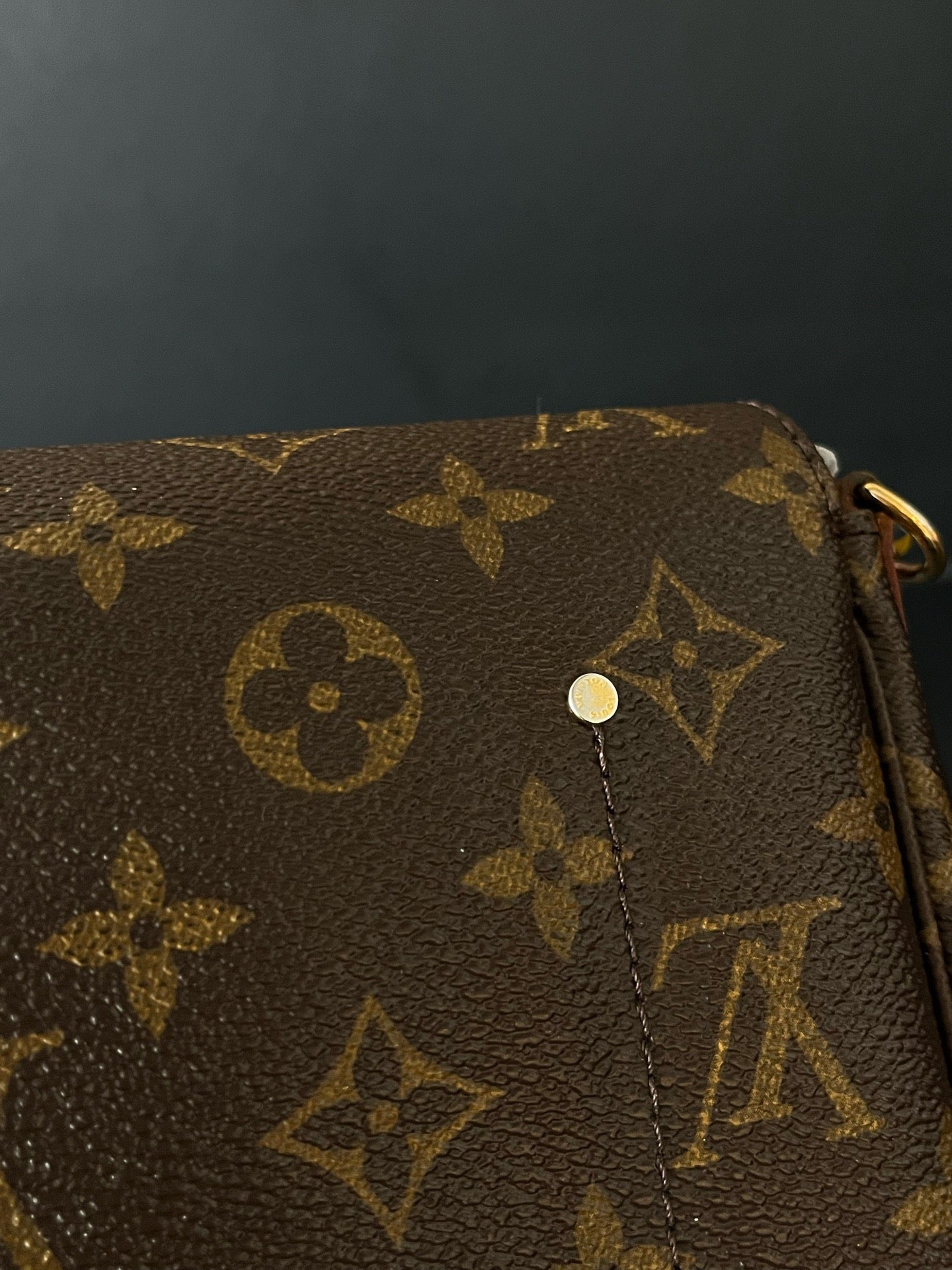 Louis Vuitton - Favorite PM - Cloth - Brown - (small)
