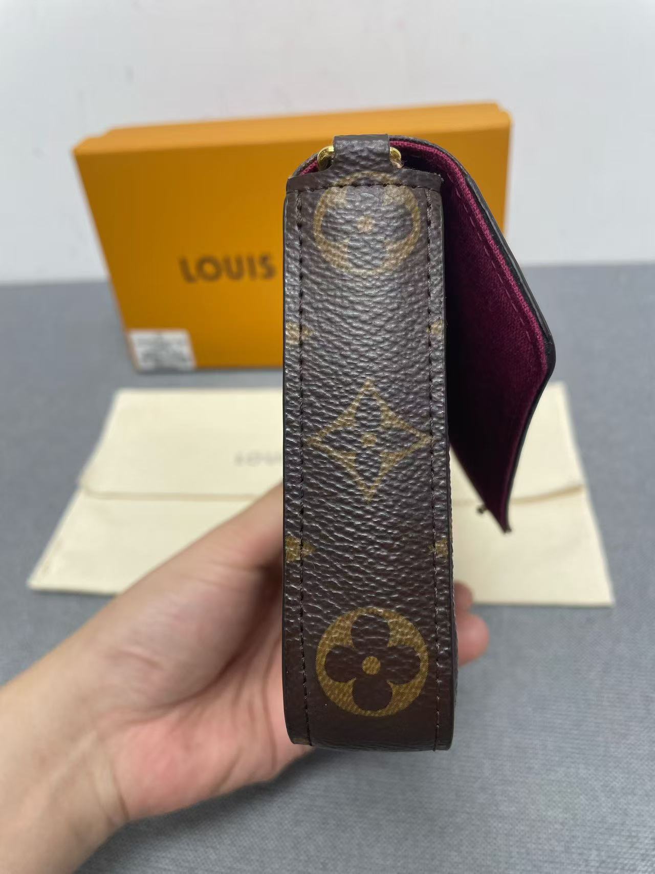 Louis Vuitton - Félicie Pochette - Monogram coated canvas - Brown - (mini)