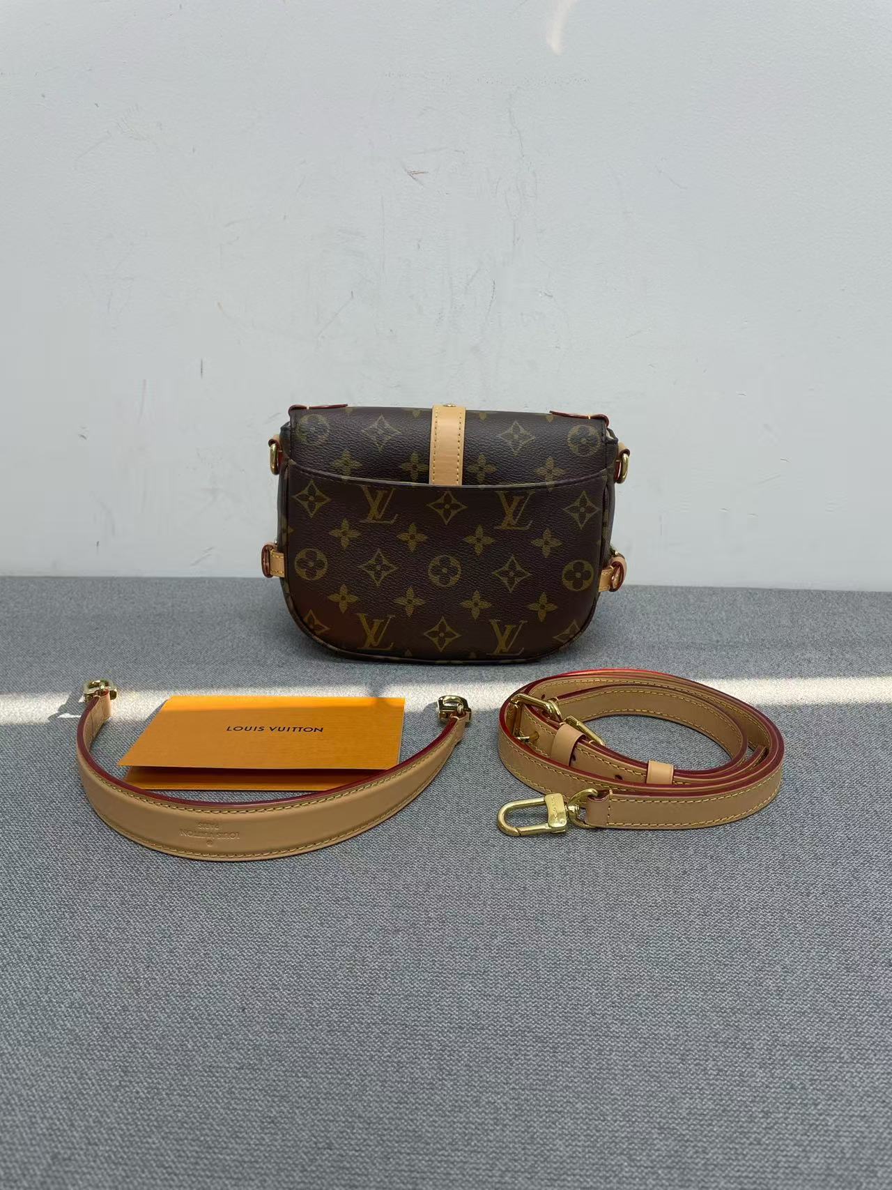 Louis Vuitton - Gemini - Monogram coated canvas with natural cowhide leather trim - Brown - (Mini)