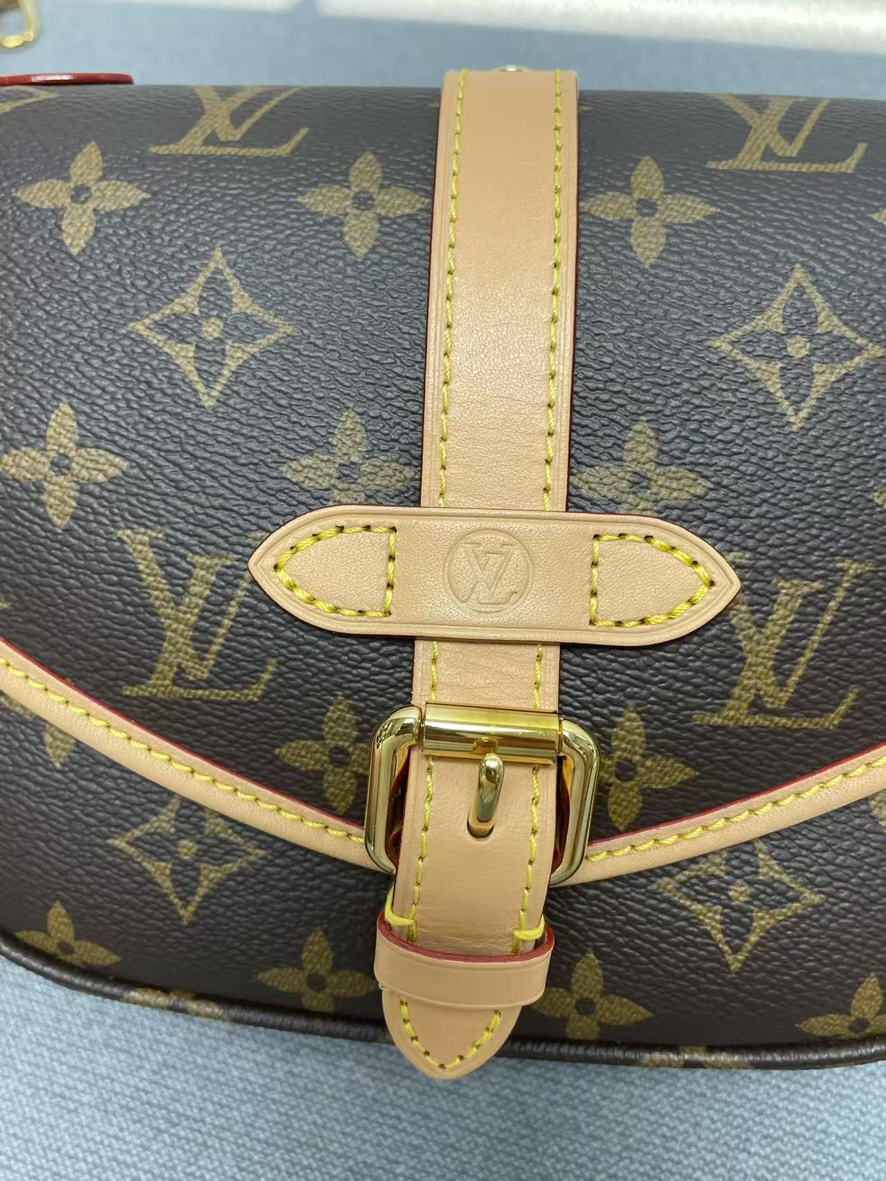 Louis Vuitton - Gemini - Monogram coated canvas with natural cowhide leather trim - Brown - (Mini)