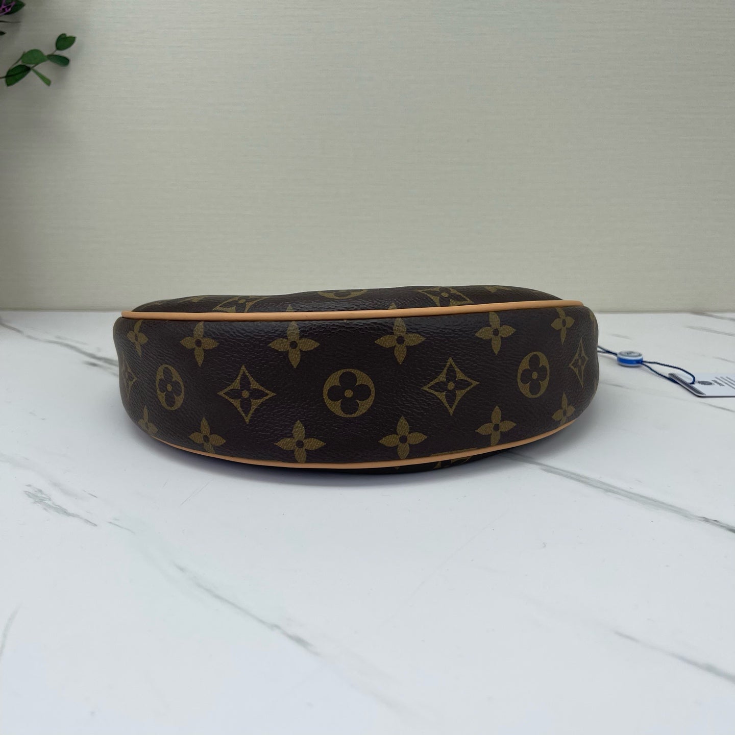 Louis Vuitton - Loop Hobo - Leather - Brown - (mini)