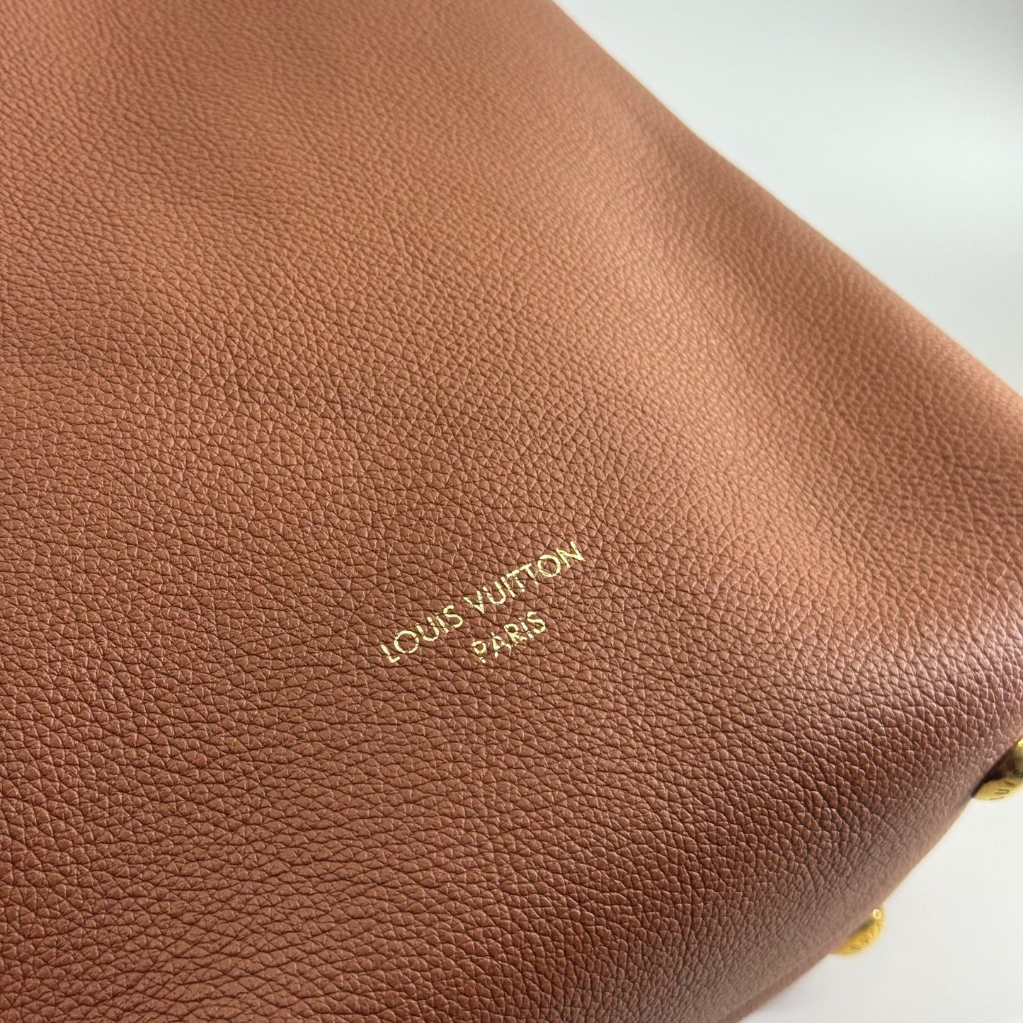 Louis Vuitton - Low key hobo - Leather - Brown