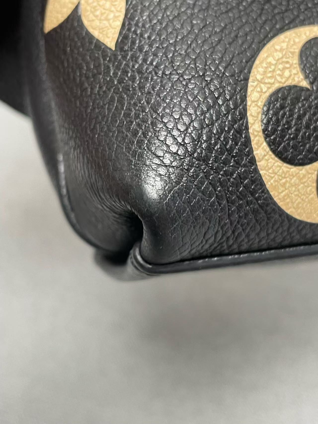 Louis Vuitton - Madeleine Small - Grained leather - Black with Beige motifs and Red interior - (Small)
