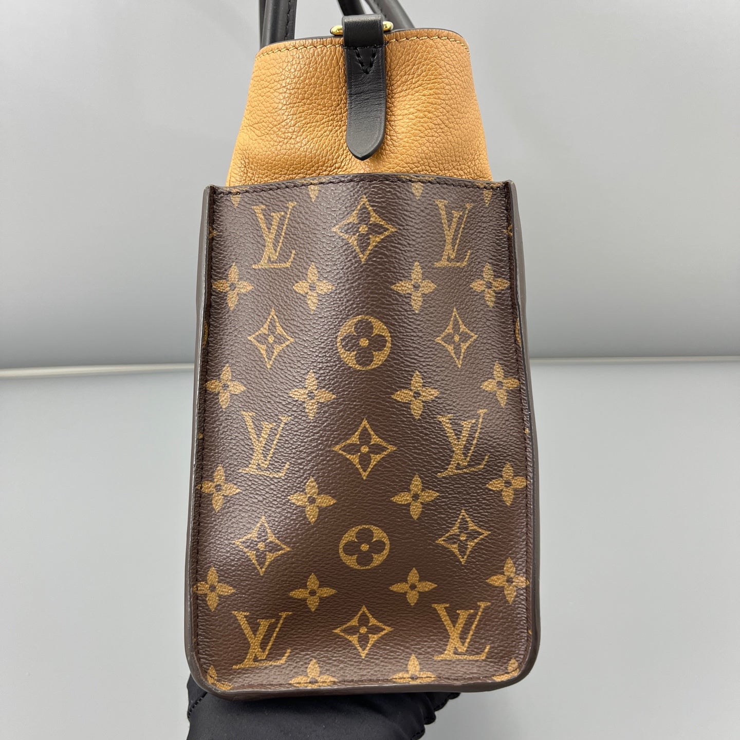 Louis Vuitton - Monogram Canvas and Leather Tote - Leather - Black and Brown - (medium)