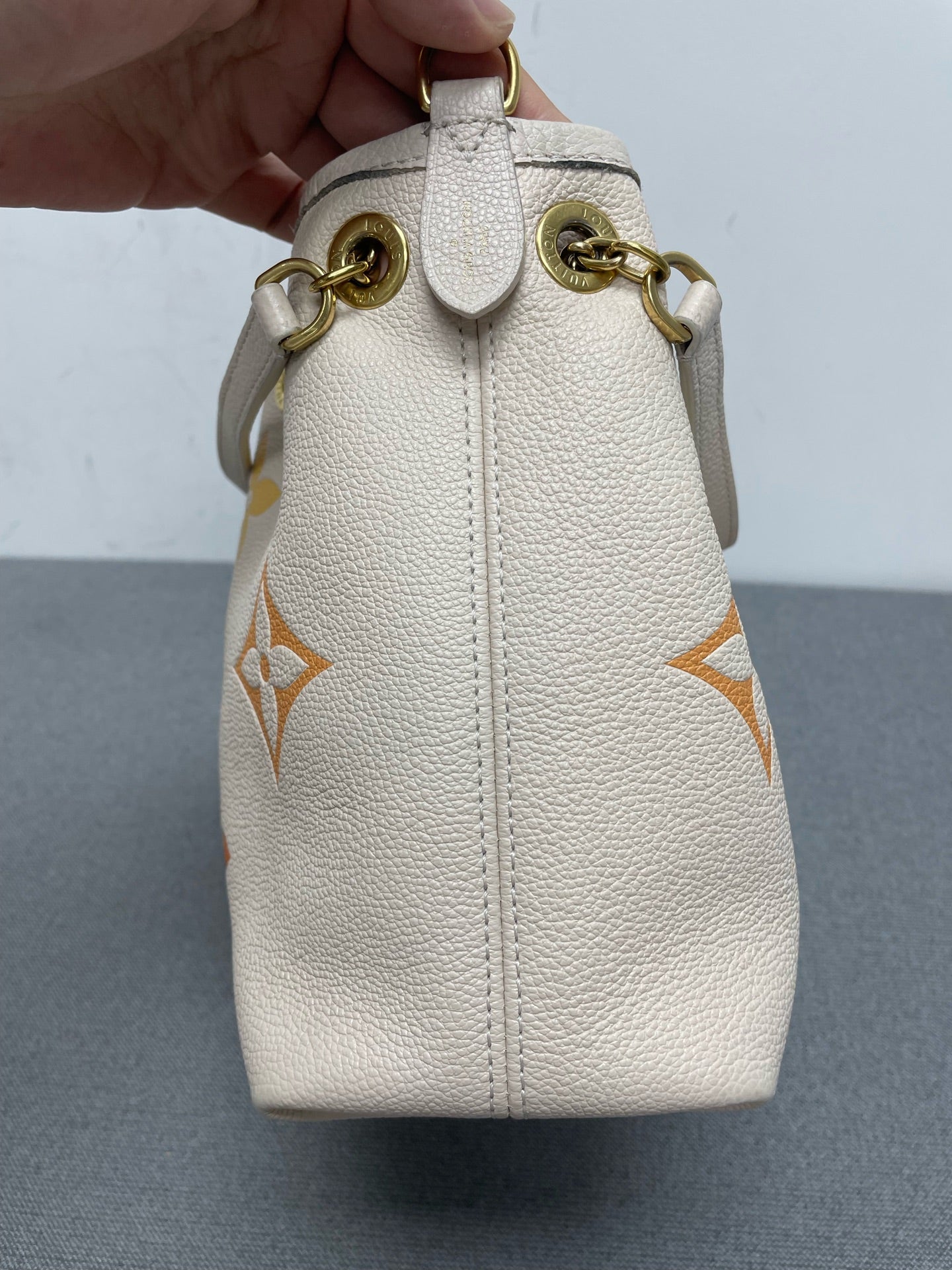 Louis Vuitton - NeoNoe - Leather - Multicolour - (Medium)