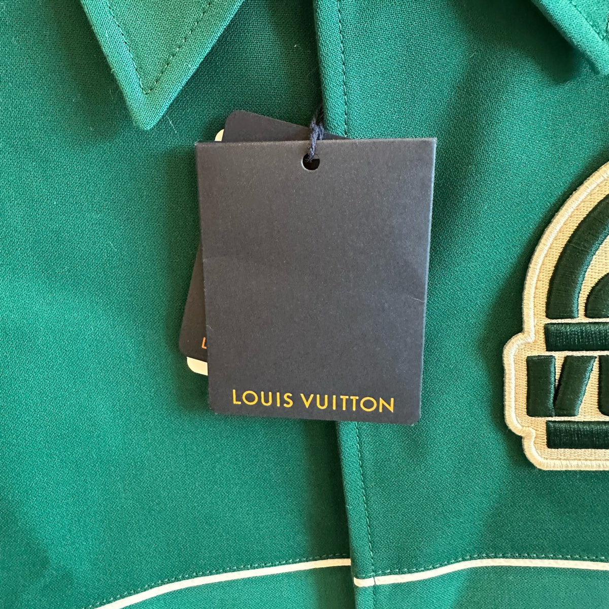 Louis Vuitton - Other - Exotic leathers - Other - Green - (48)