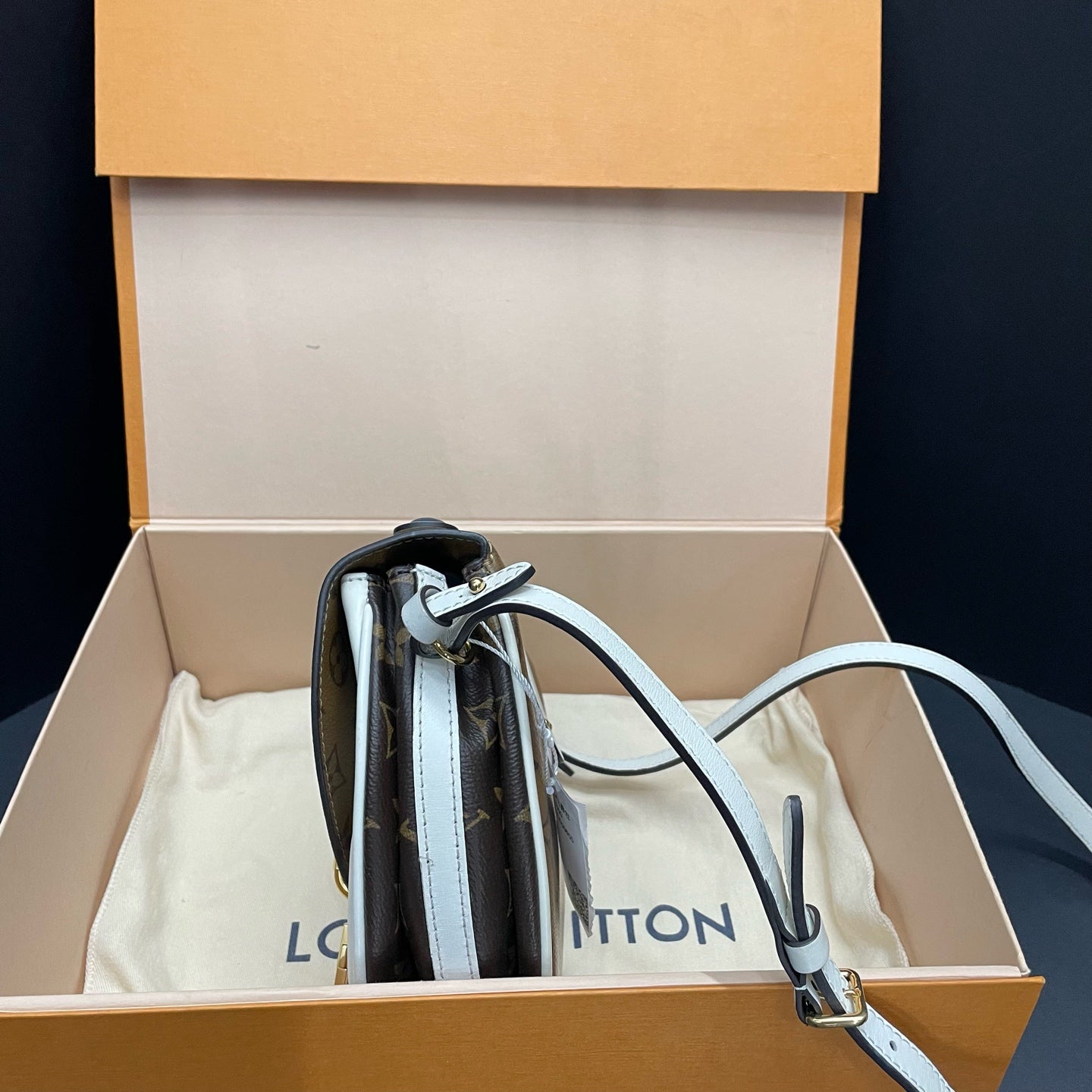 Louis Vuitton - Other - Leather - Multicolour - (Small)