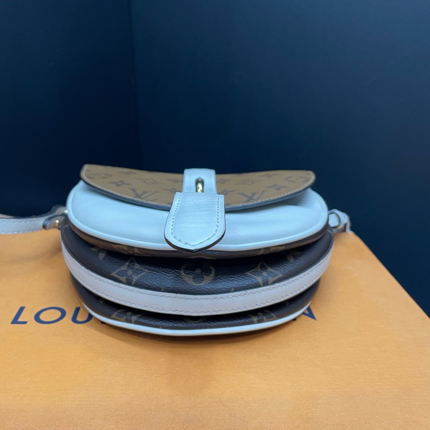 Louis Vuitton - Other - Leather - Multicolour - (Small)