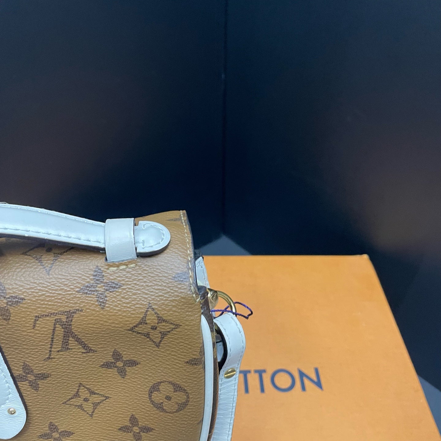 Louis Vuitton - Other - Leather - Multicolour - (Small)