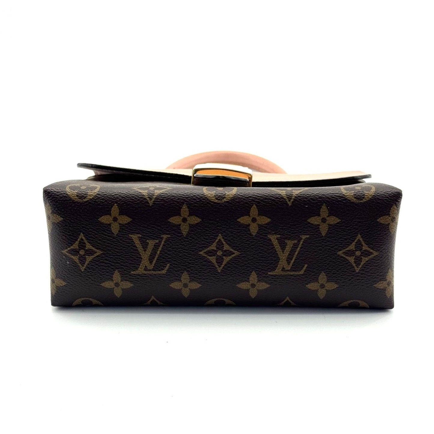 Louis Vuitton - Other - Leather - Pink - (mini)