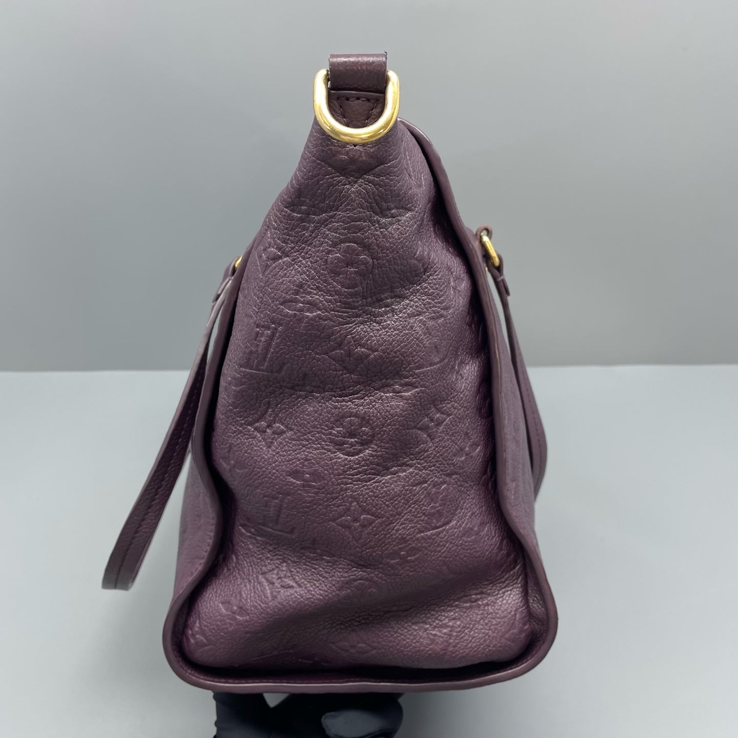 Louis Vuitton - Other - Leather - Purple - (large)