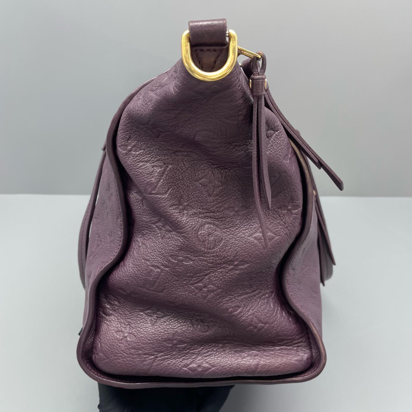 Louis Vuitton - Other - Leather - Purple - (large)